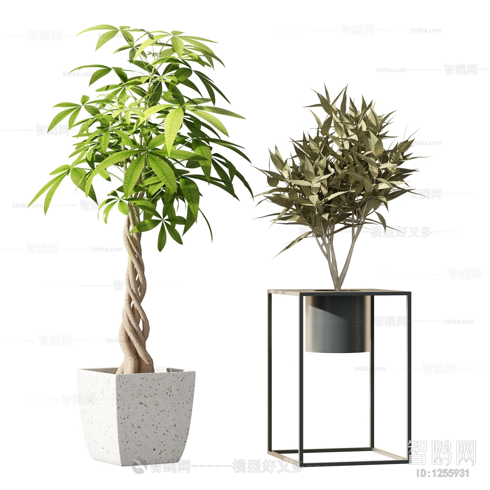 Modern Potted Green Plant