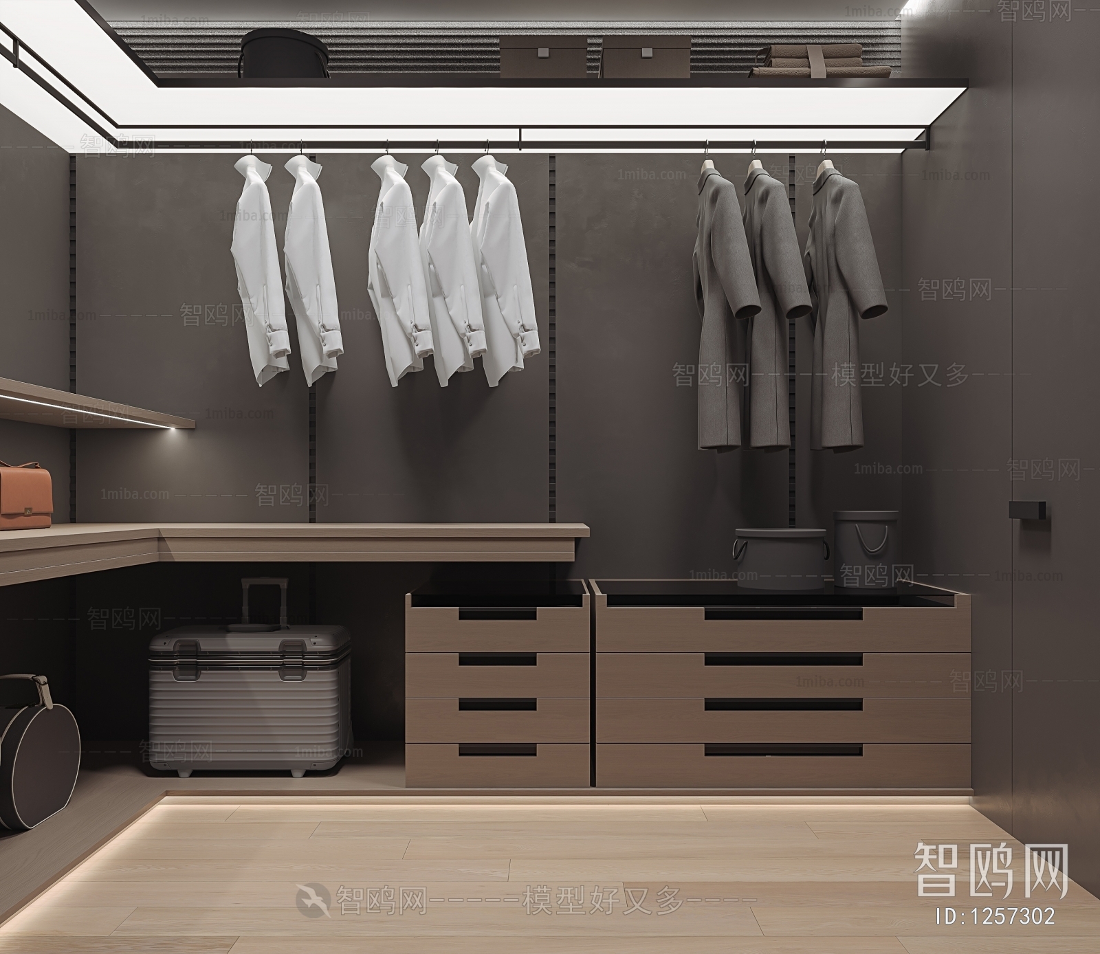 Modern Clothes Storage Area