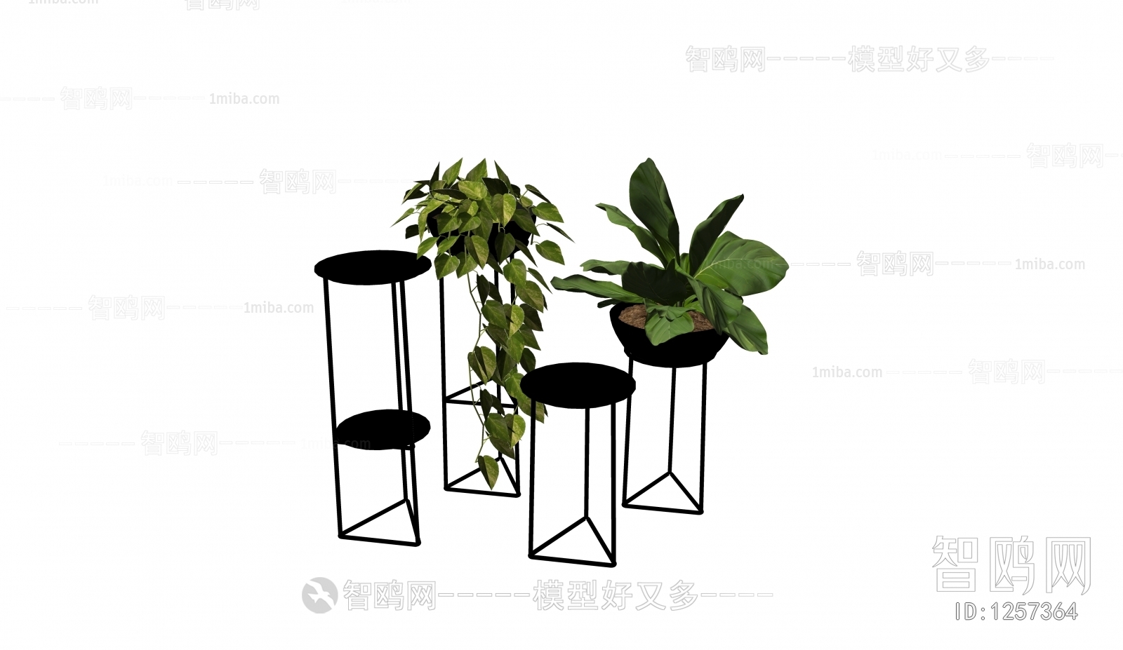 Modern Potted Green Plant