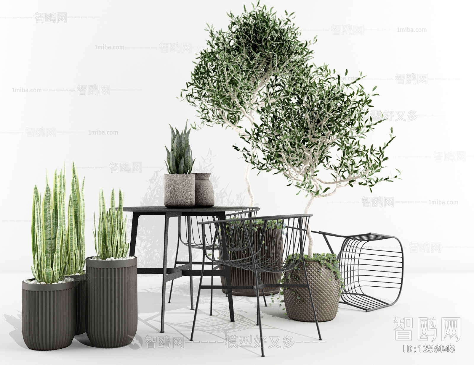 Modern Potted Green Plant