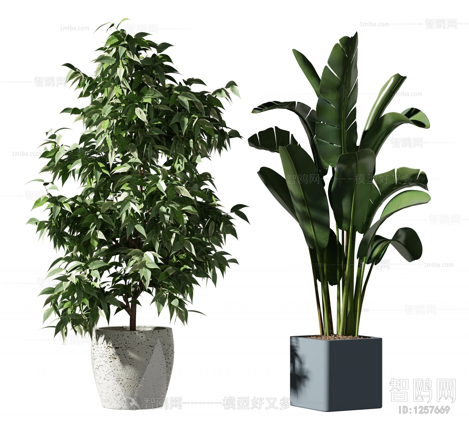 Modern Potted Green Plant