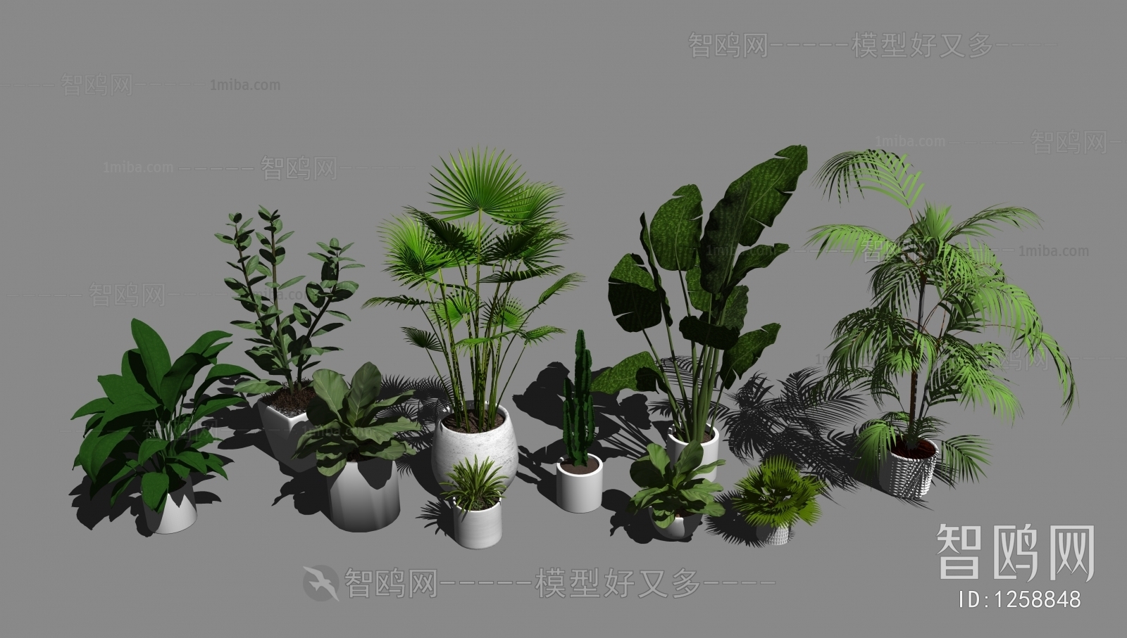 Modern Potted Green Plant