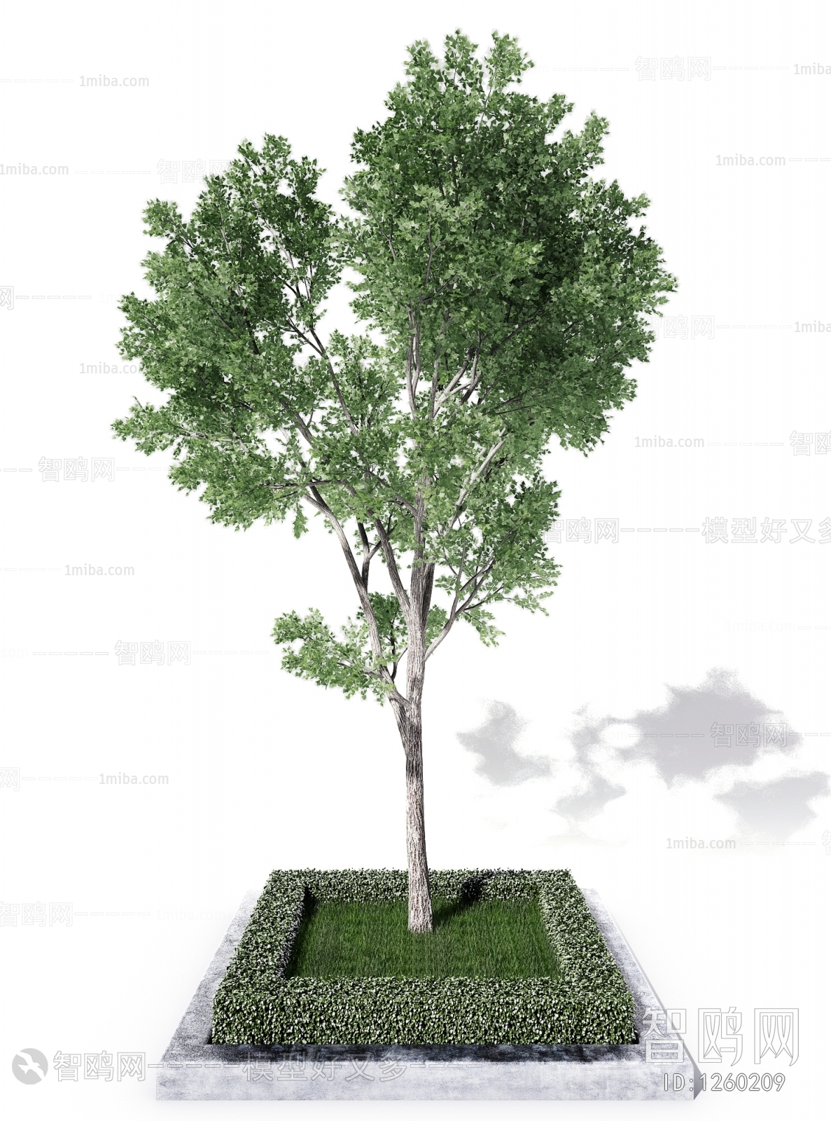 Modern Tree