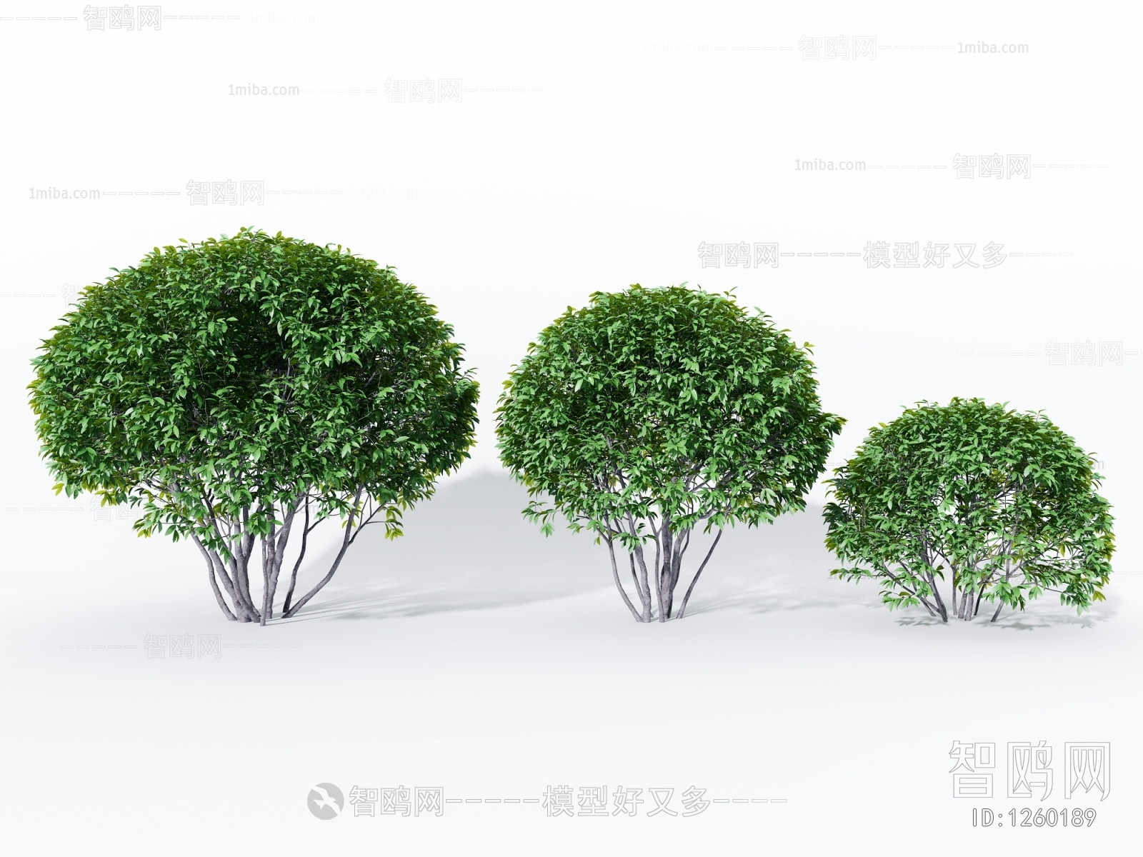 Modern Shrubbery