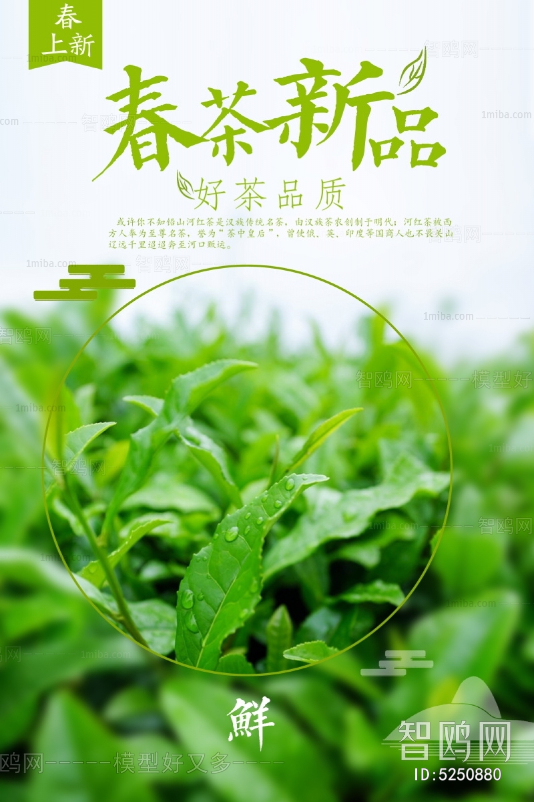 中国风古风茶叶茶具海报