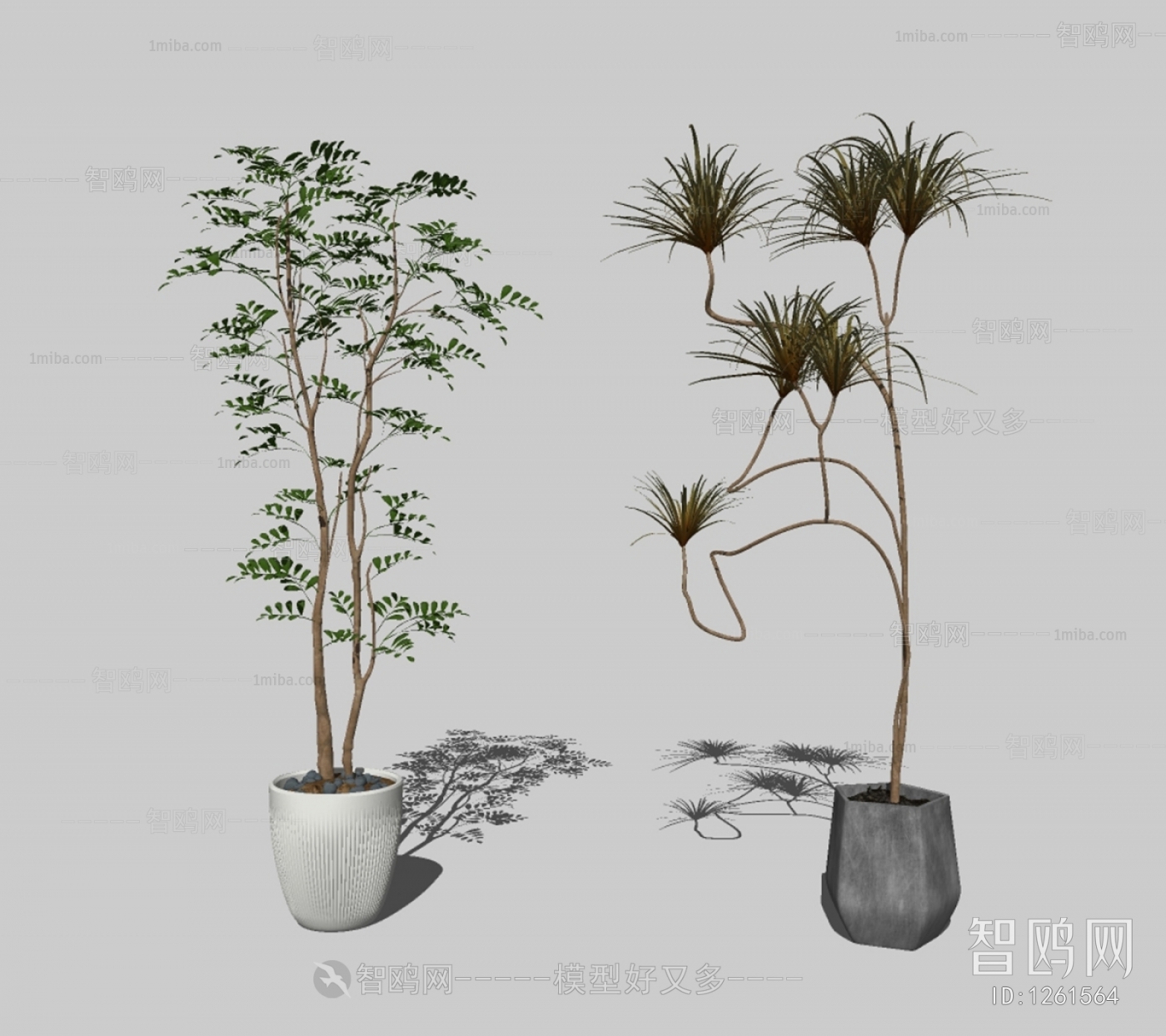 现代落地绿植盆栽