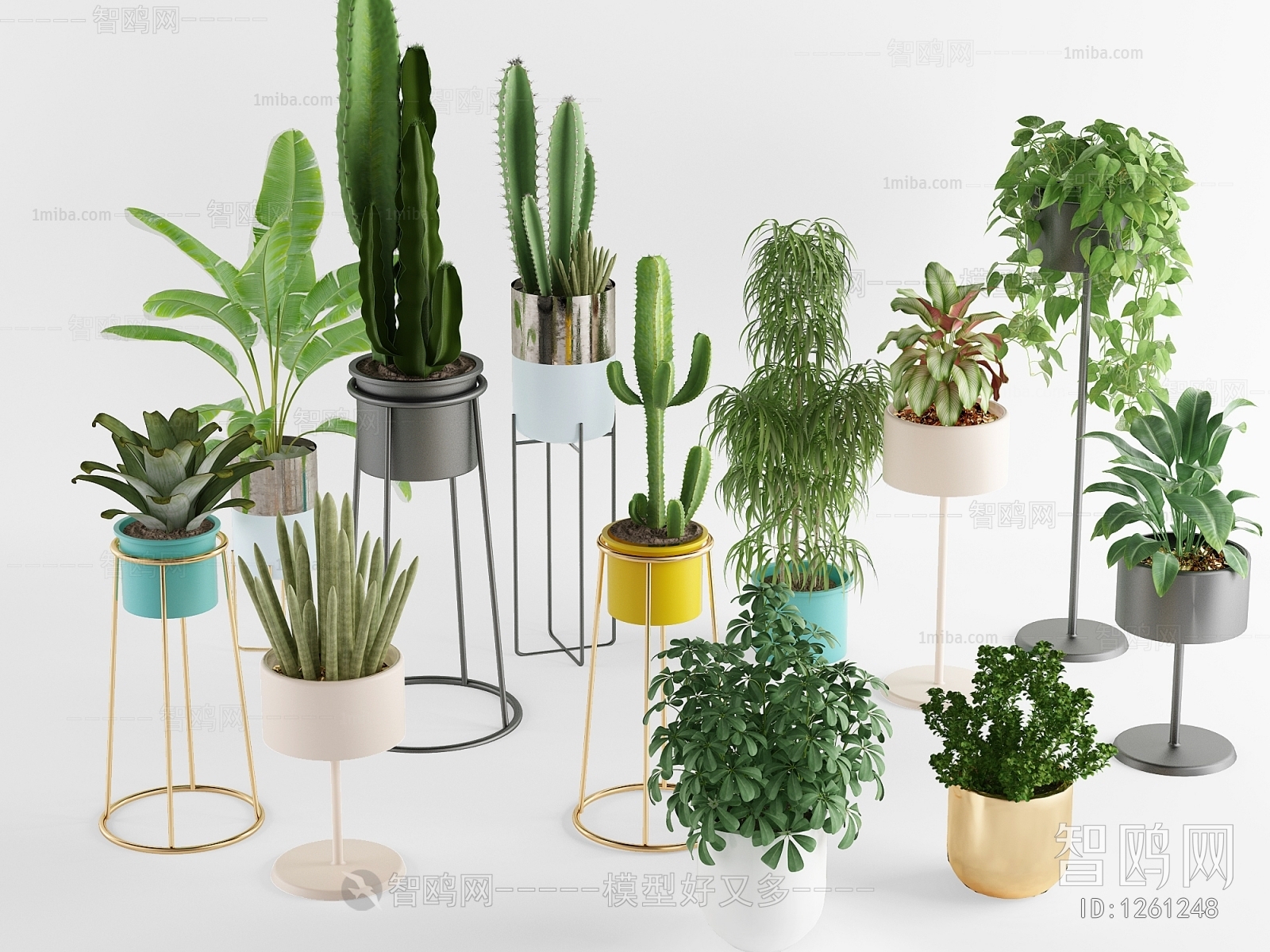 Modern Potted Green Plant