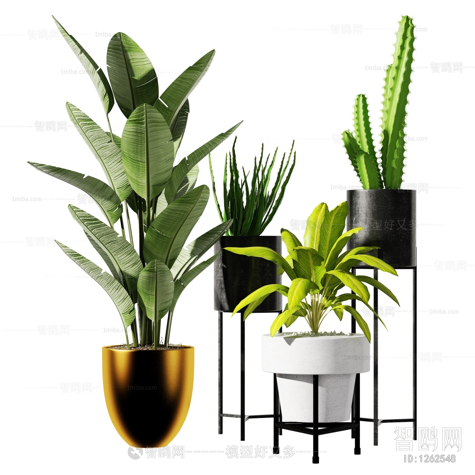 Modern Potted Green Plant