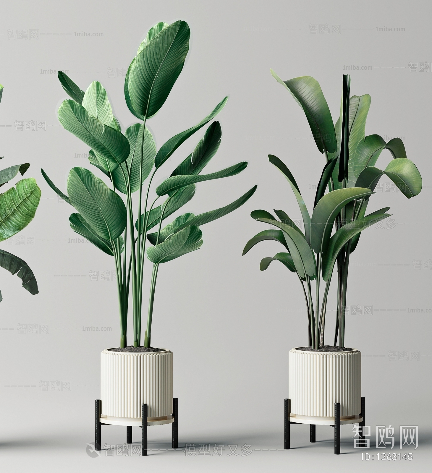 Modern Potted Green Plant