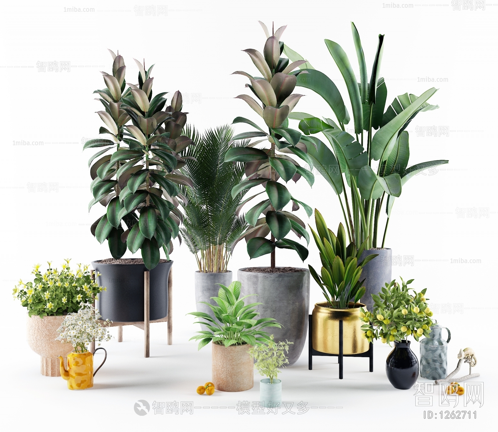 Modern Potted Green Plant