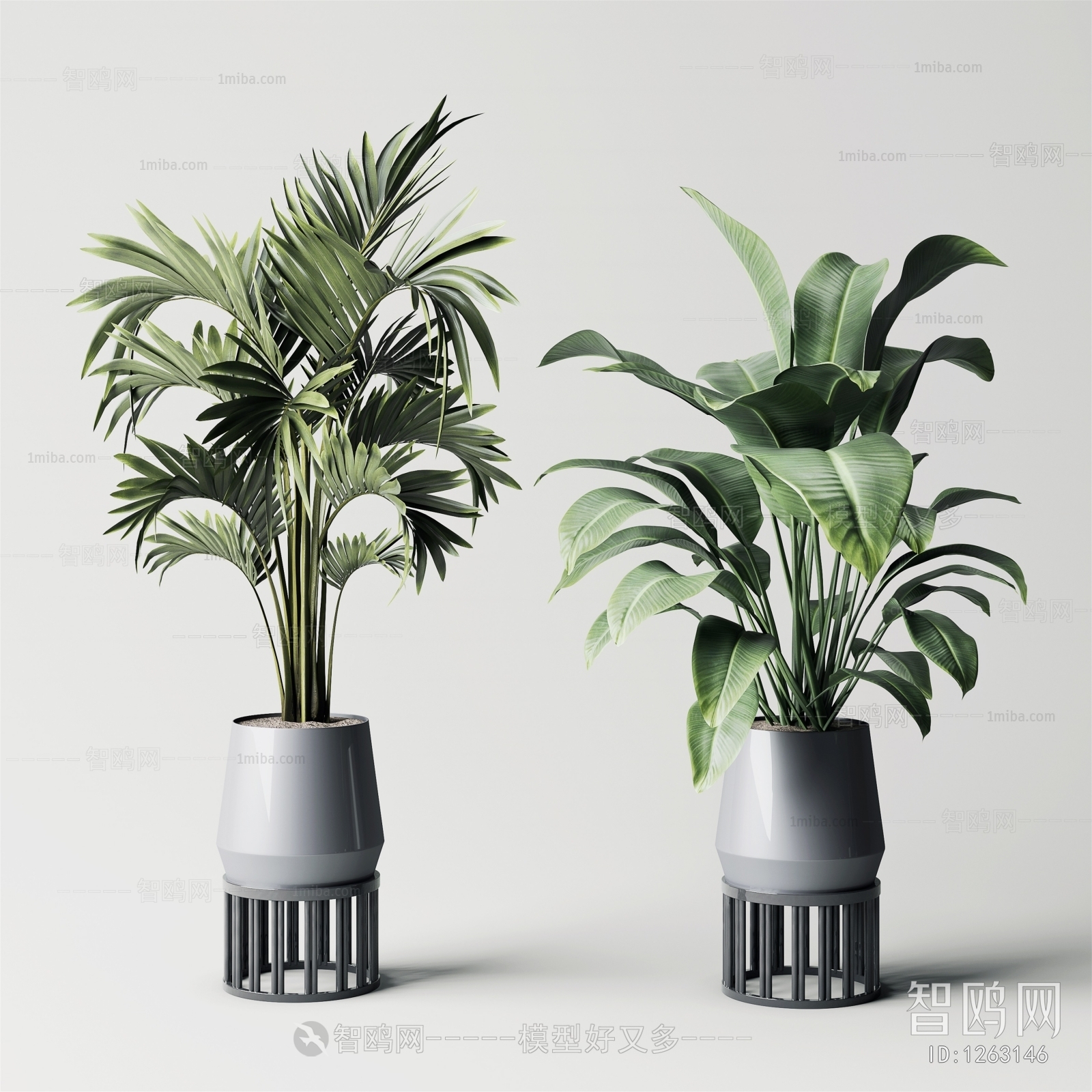 Modern Potted Green Plant