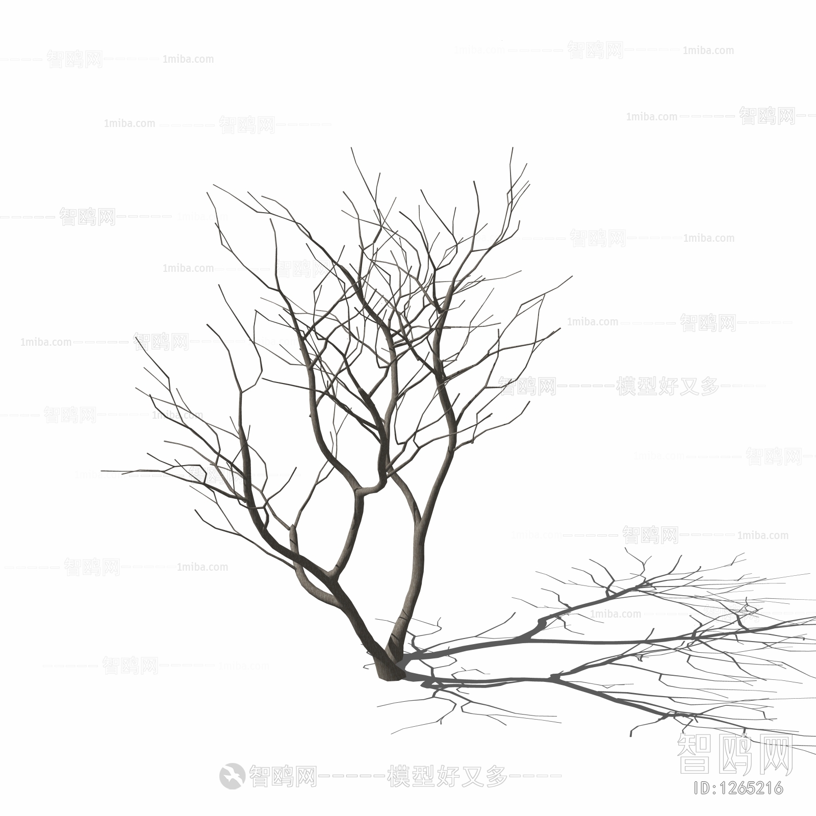 Modern Dried Branch