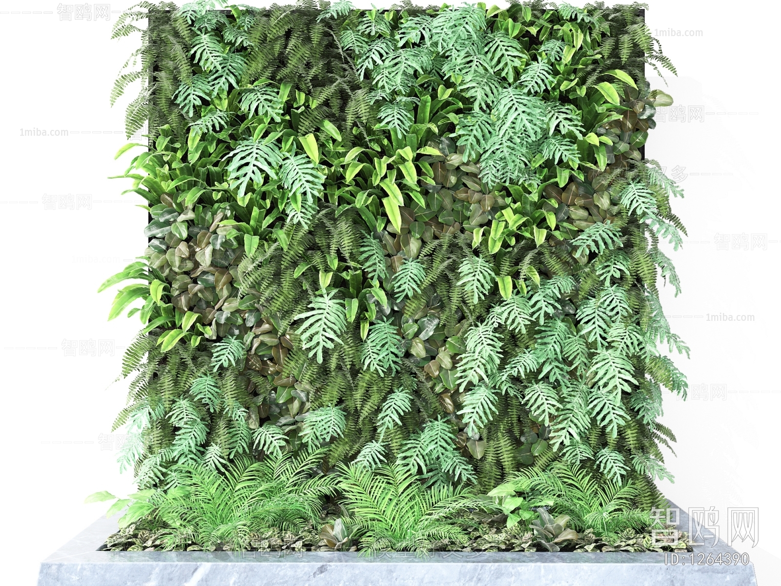 Modern Plant Wall