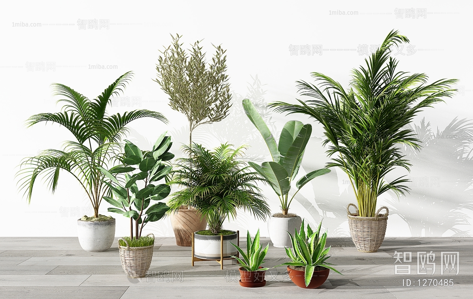 Modern Potted Green Plant