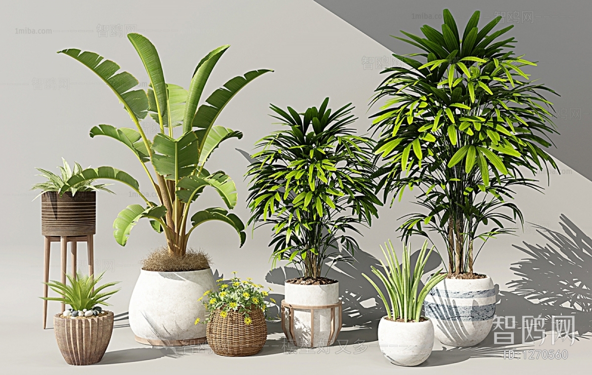 Modern Potted Green Plant