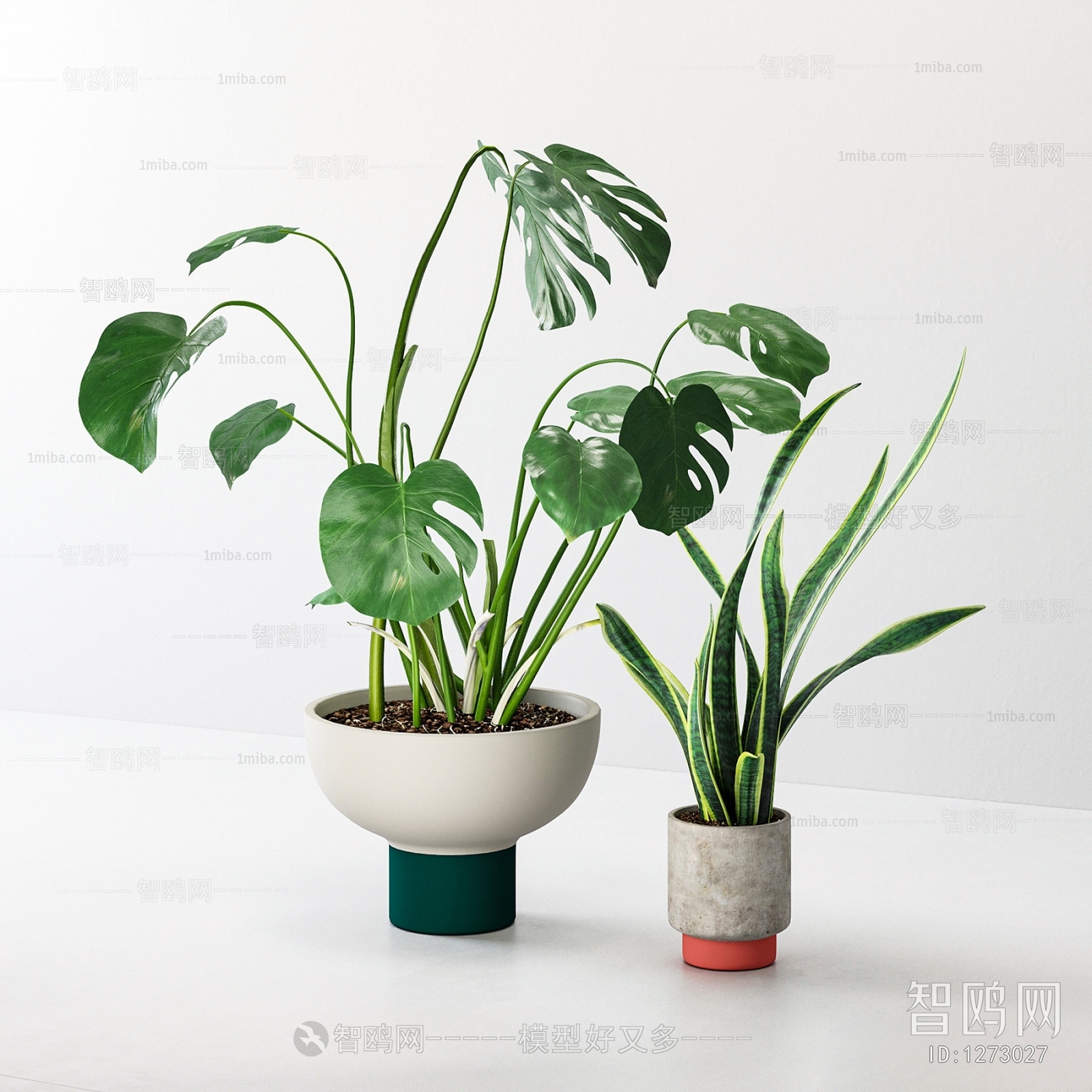 Modern Potted Green Plant