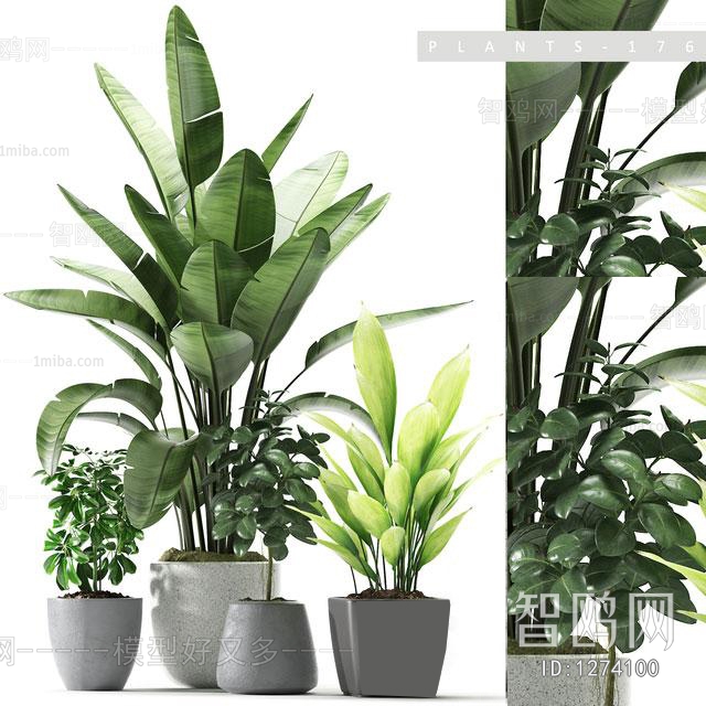 Modern Potted Green Plant