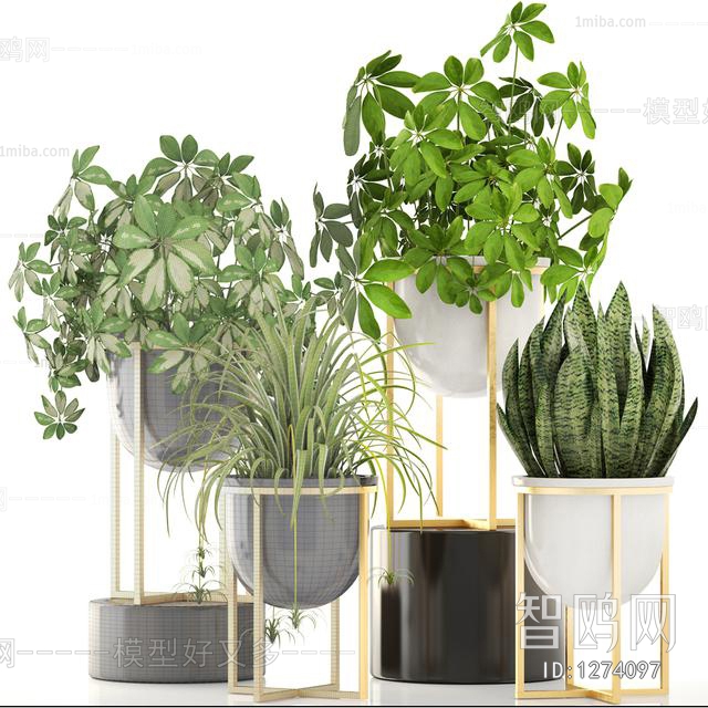 Modern Potted Green Plant