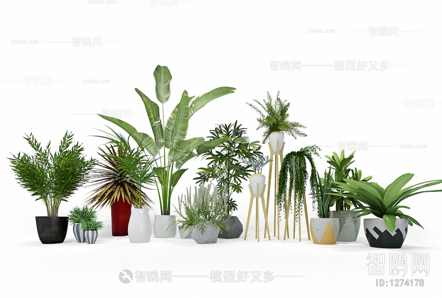 Modern Potted Green Plant