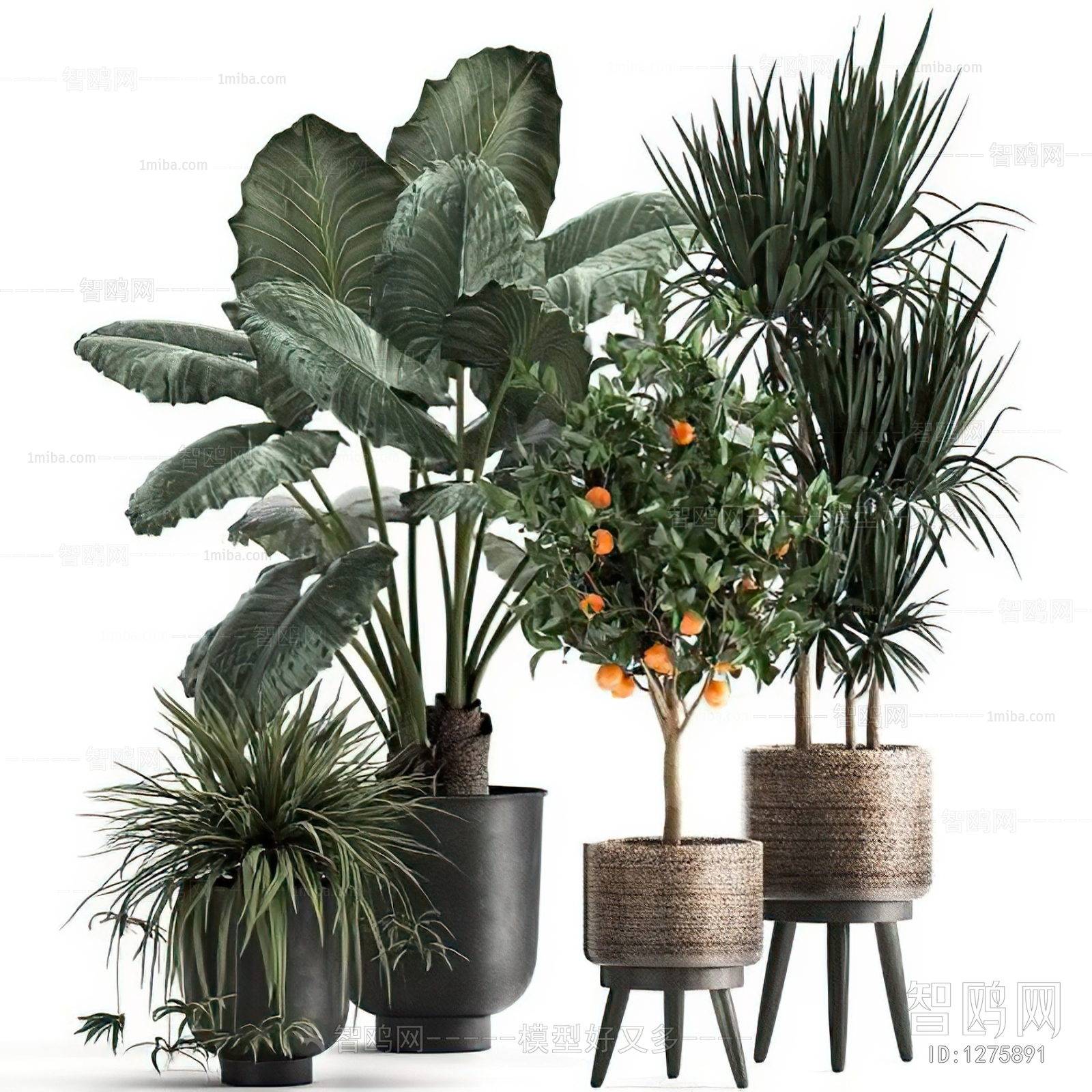 Modern Potted Green Plant