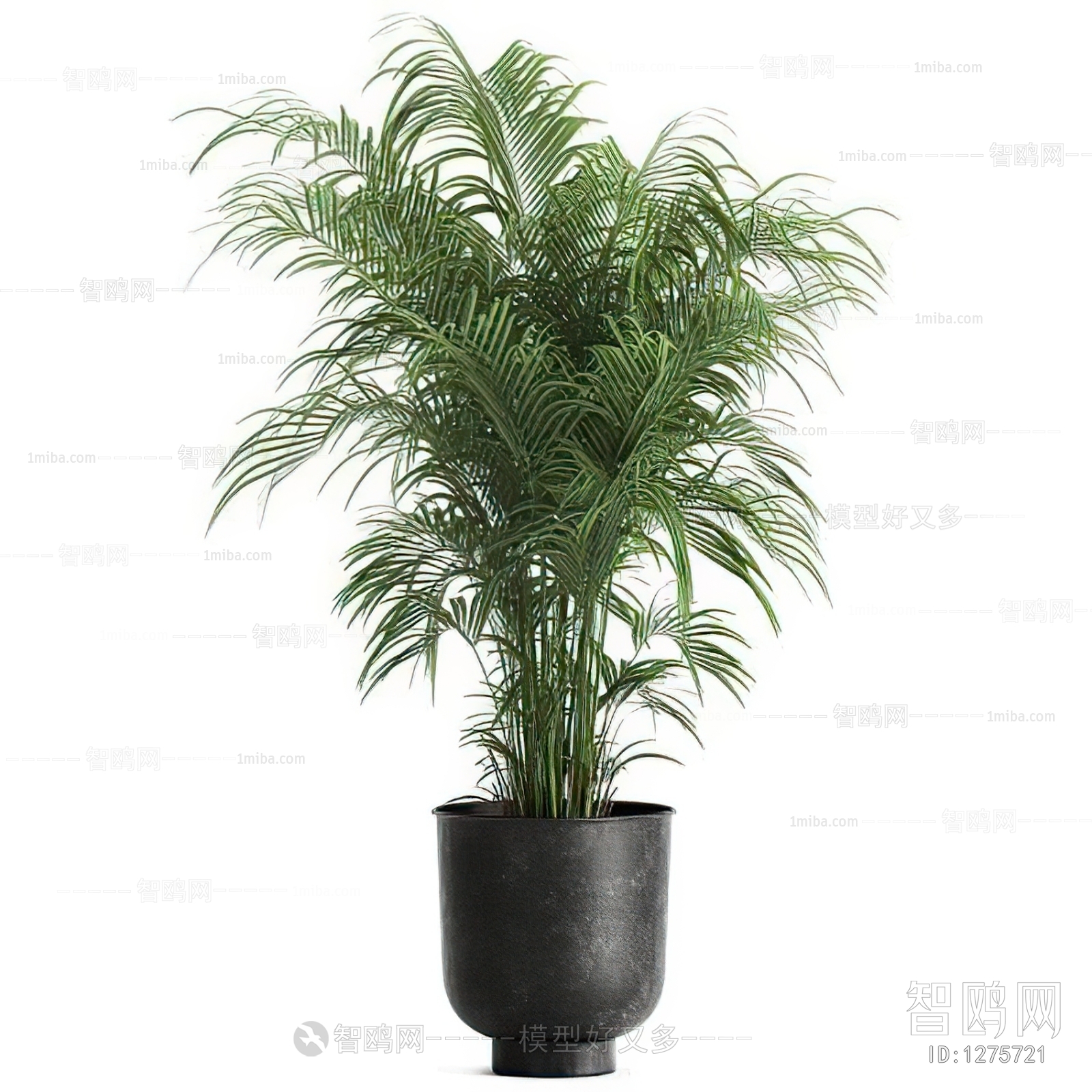 Modern Potted Green Plant