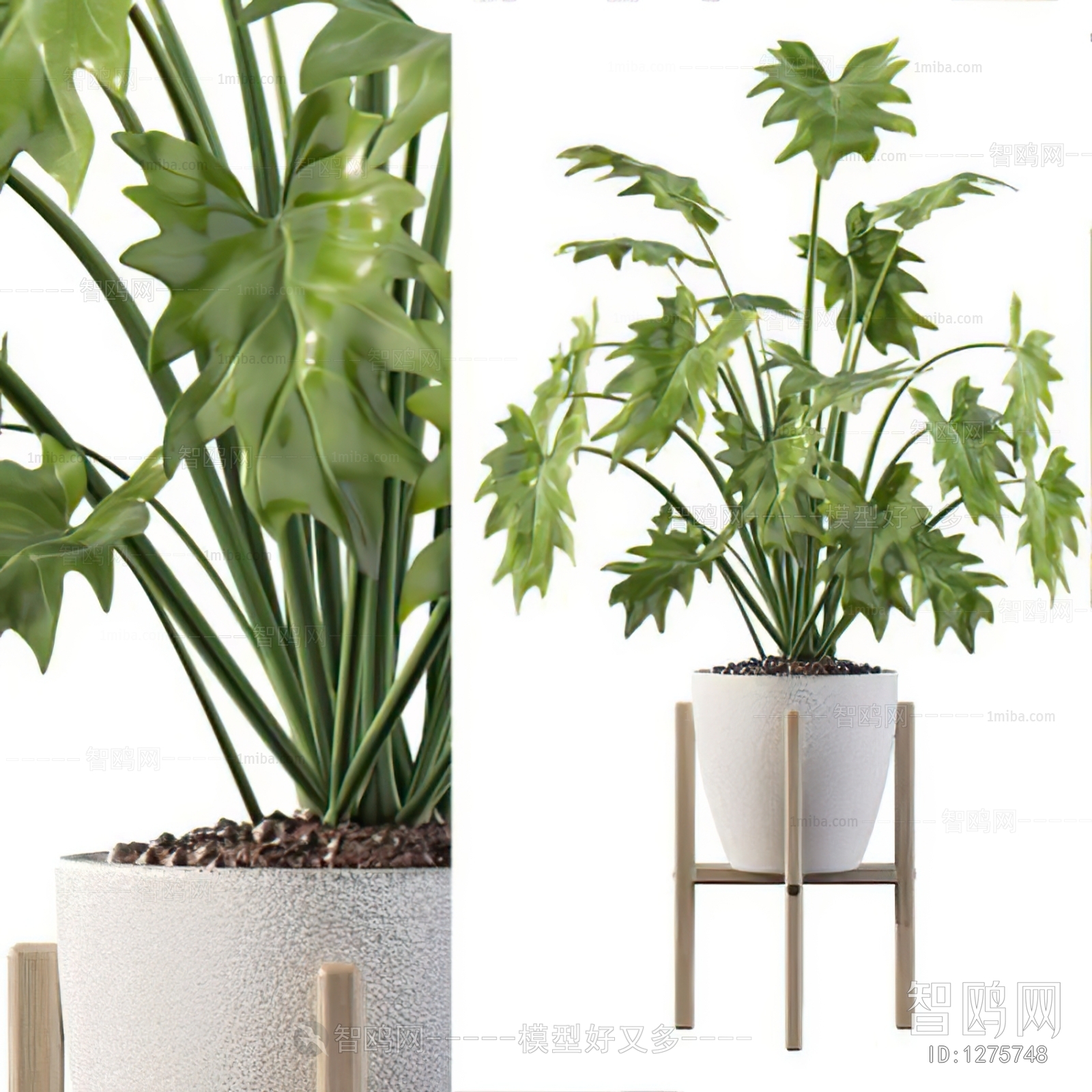 Modern Potted Green Plant