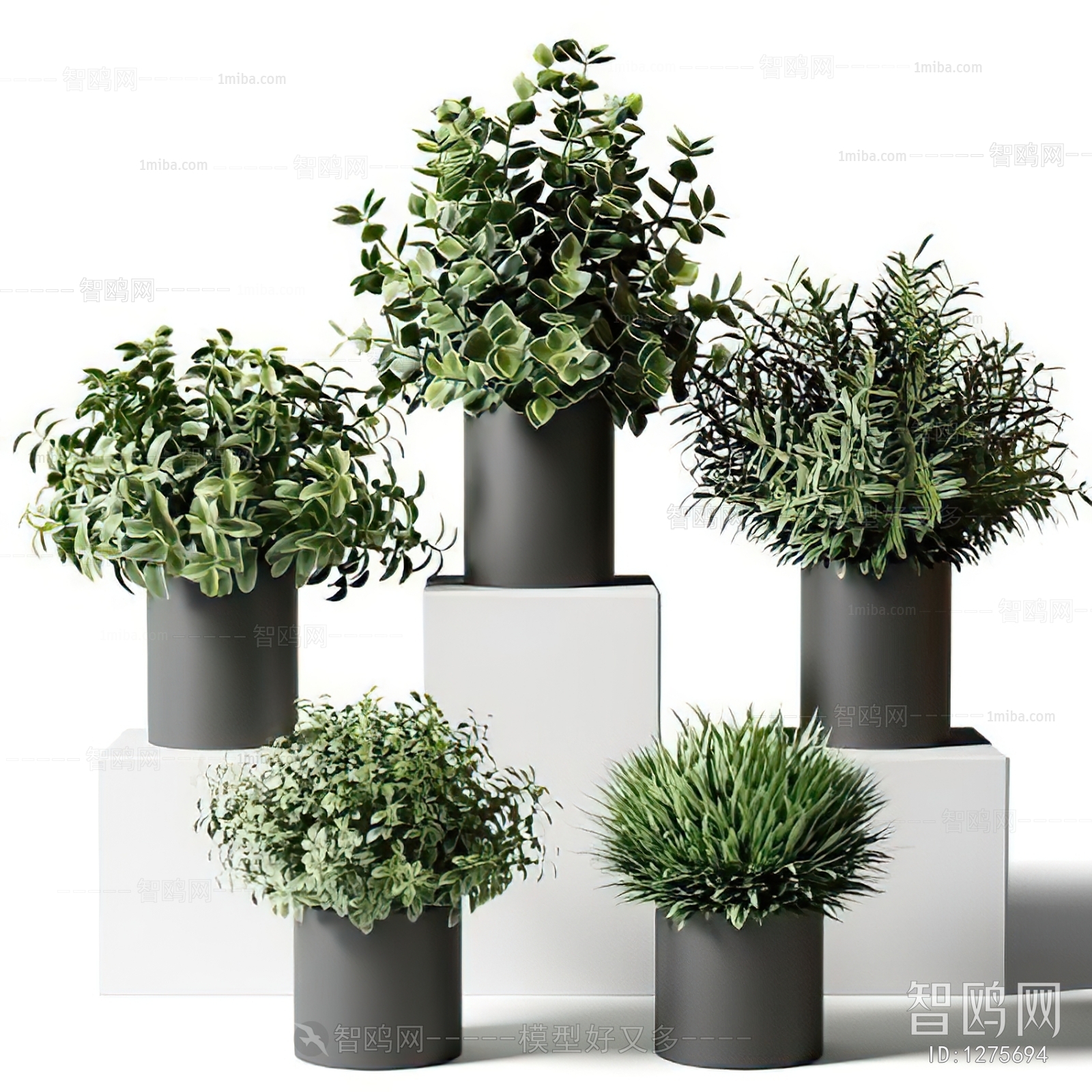 Modern Potted Green Plant