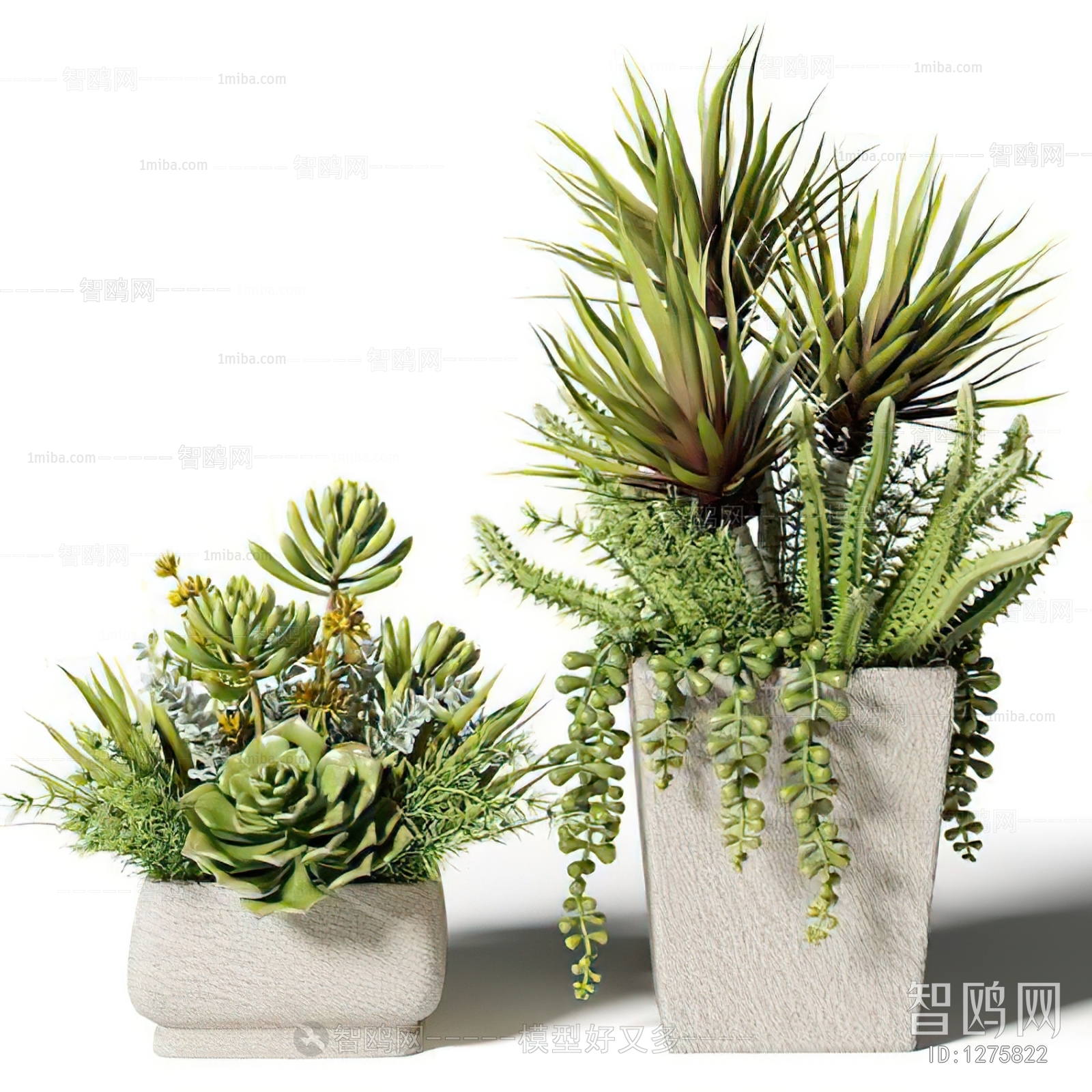 Modern Potted Green Plant