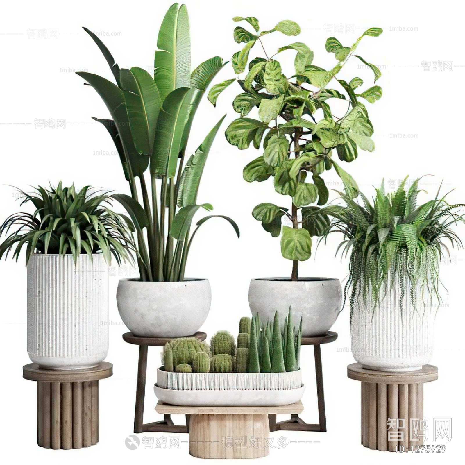 Modern Potted Green Plant