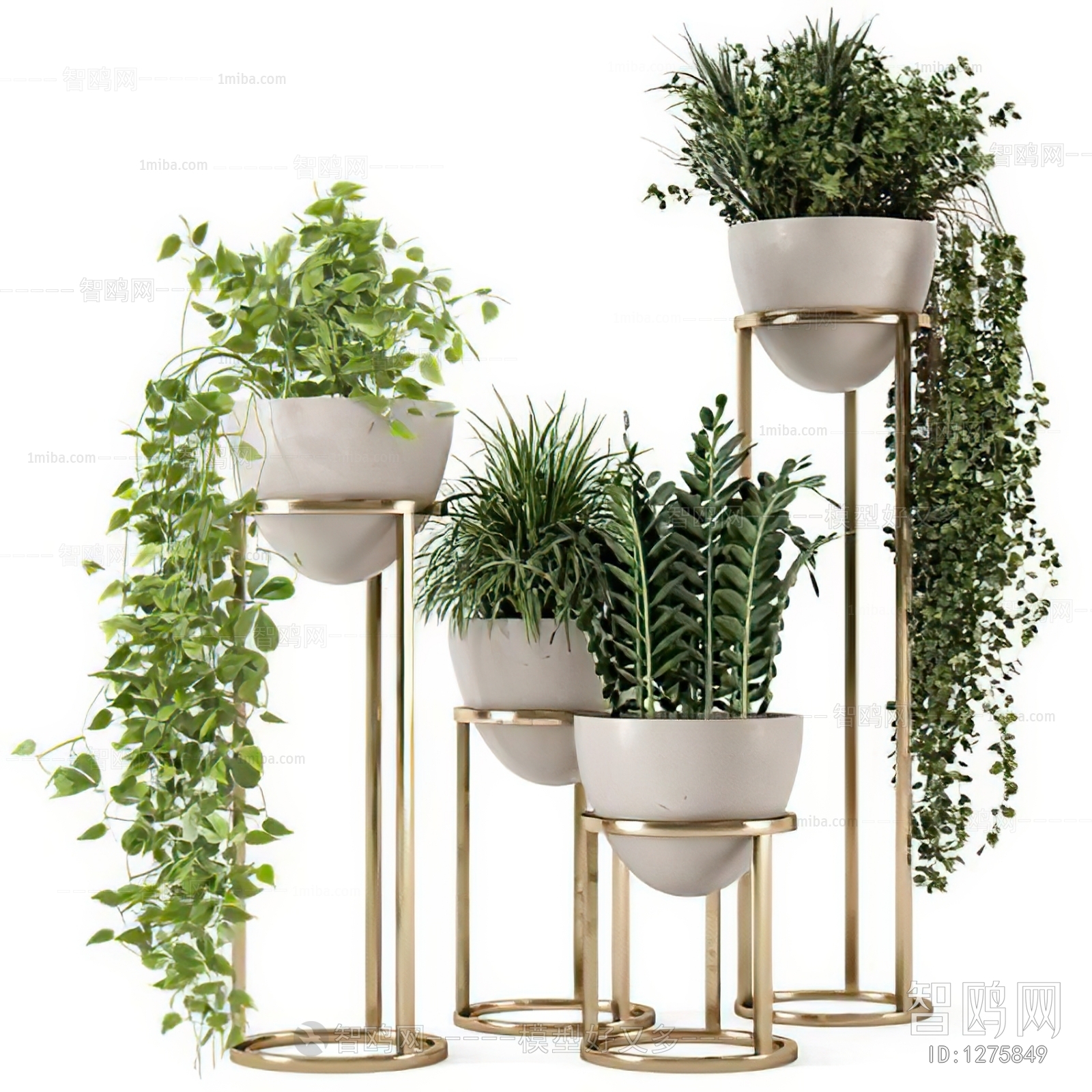 Modern Potted Green Plant