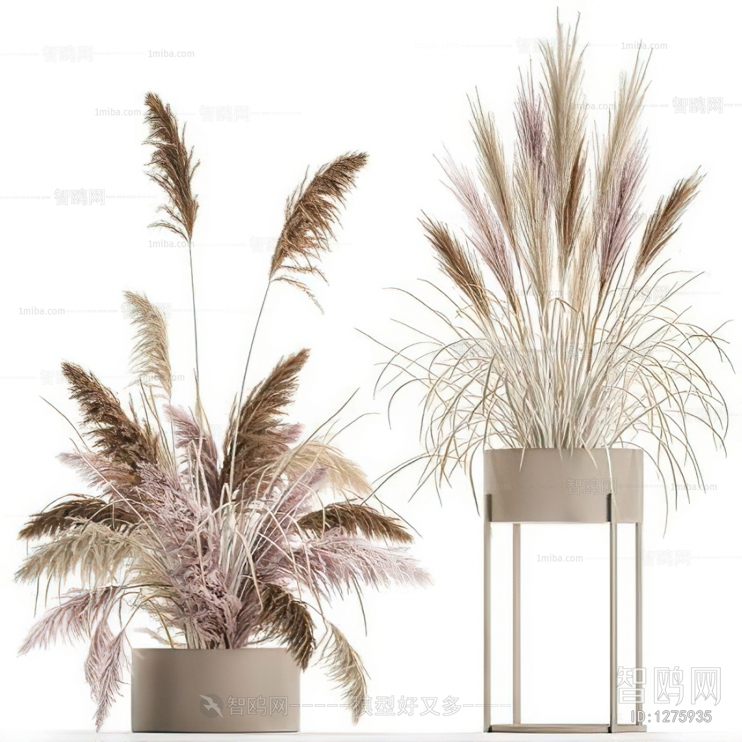 Modern Potted Green Plant