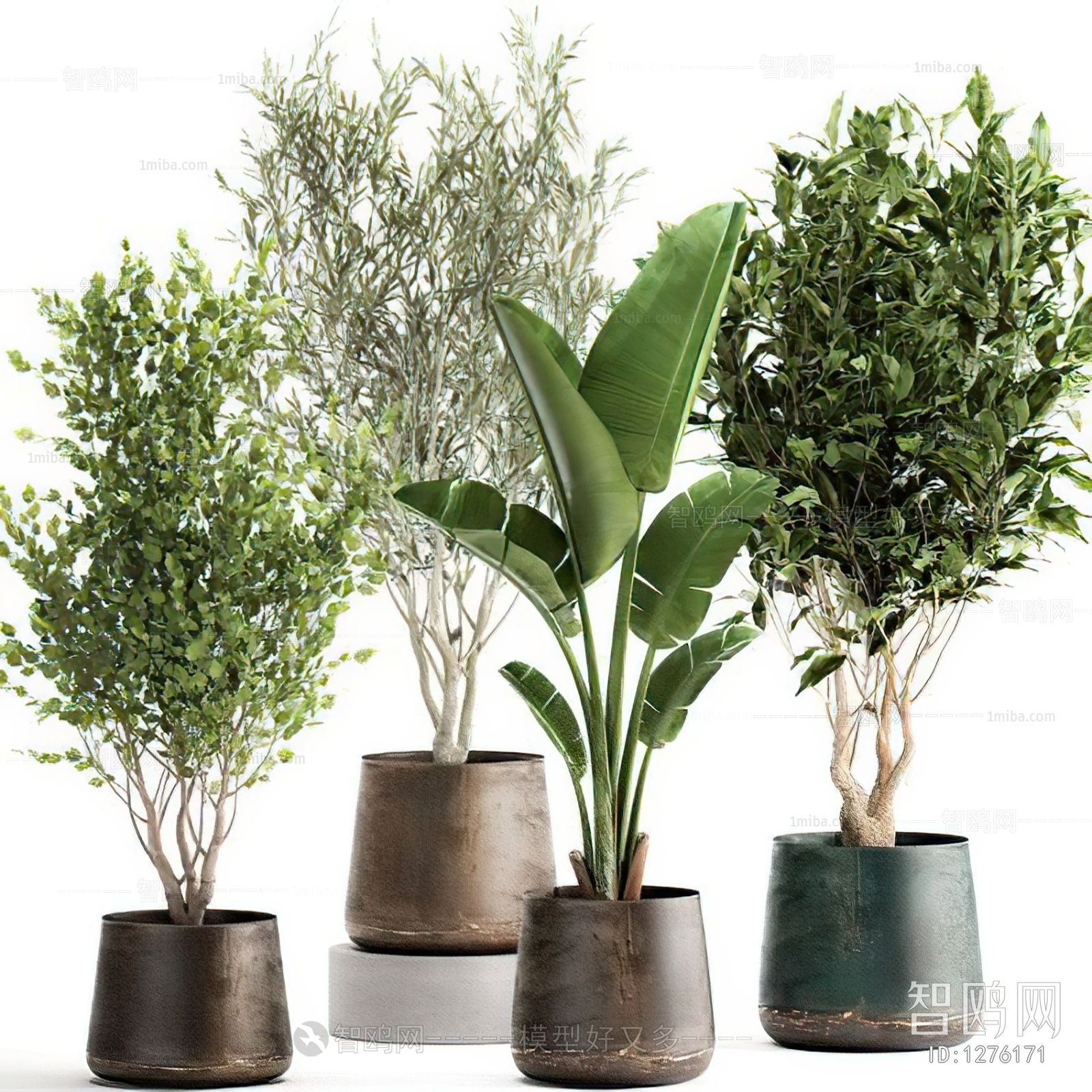 Modern Potted Green Plant