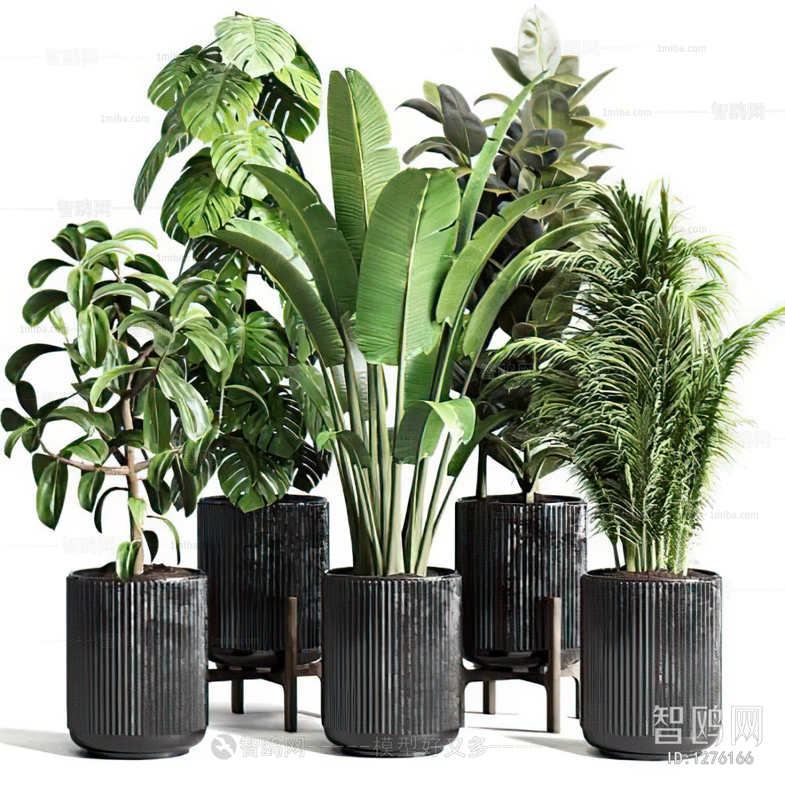 Modern Potted Green Plant