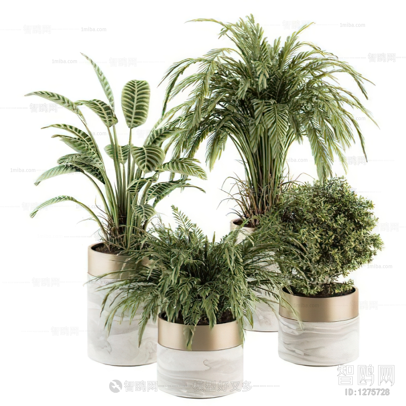 Modern Potted Green Plant