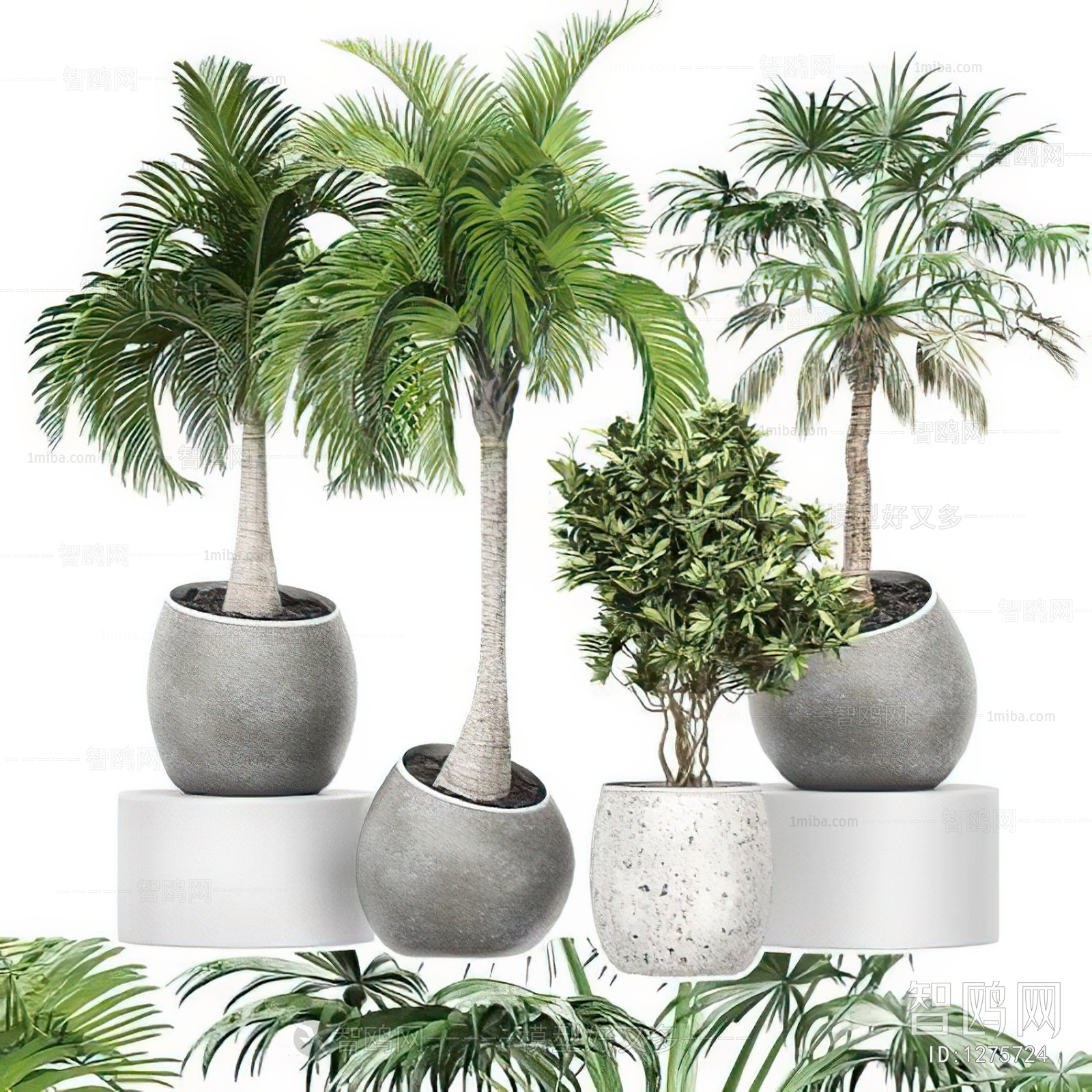 Modern Potted Green Plant