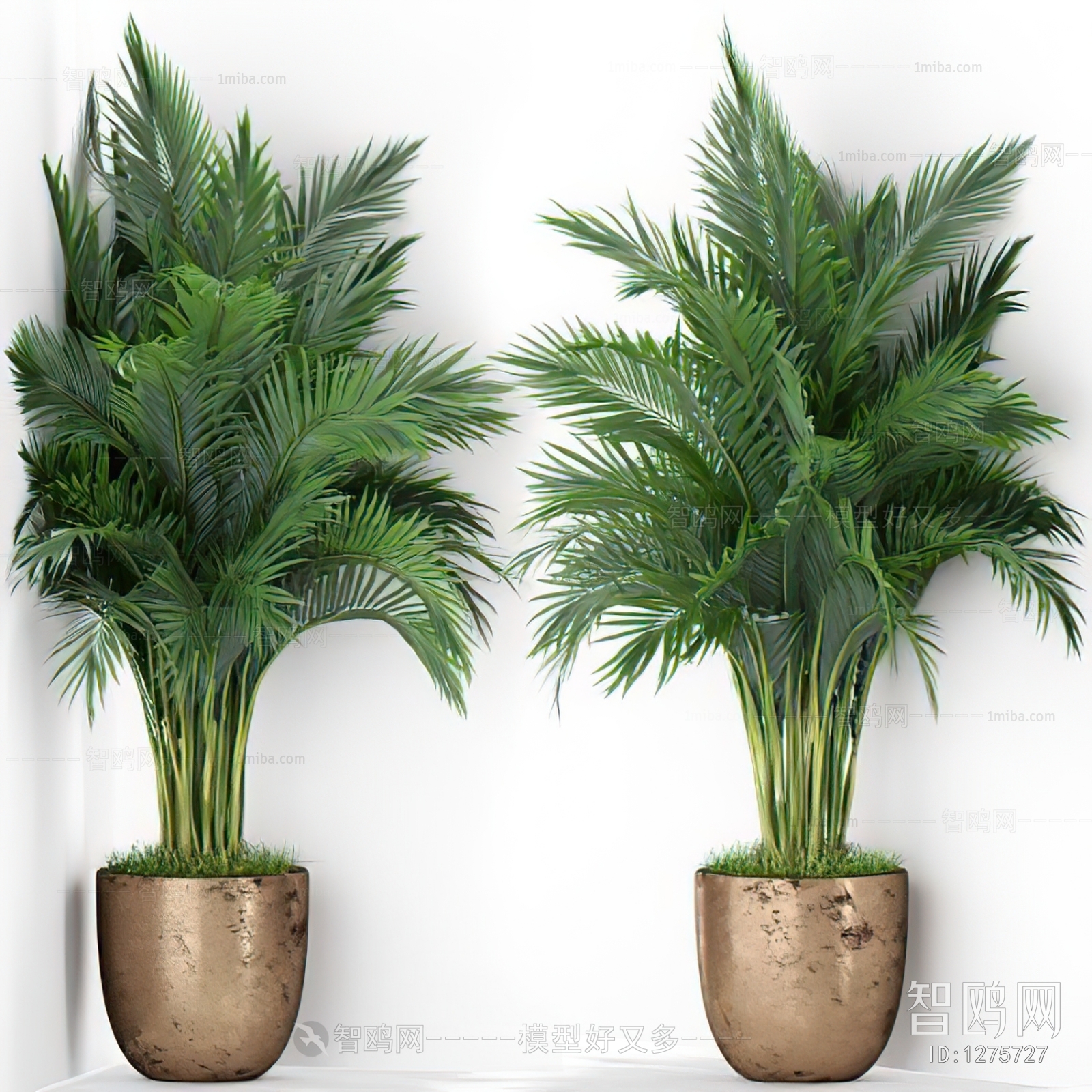 Modern Potted Green Plant