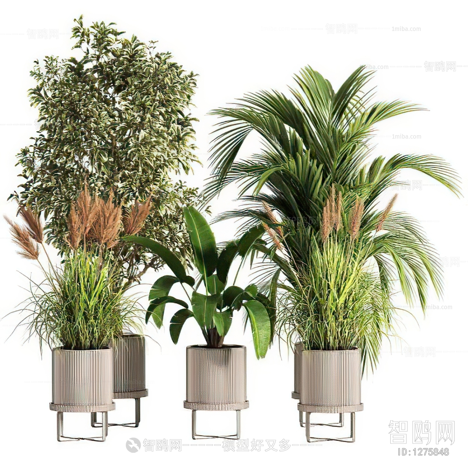 Modern Potted Green Plant