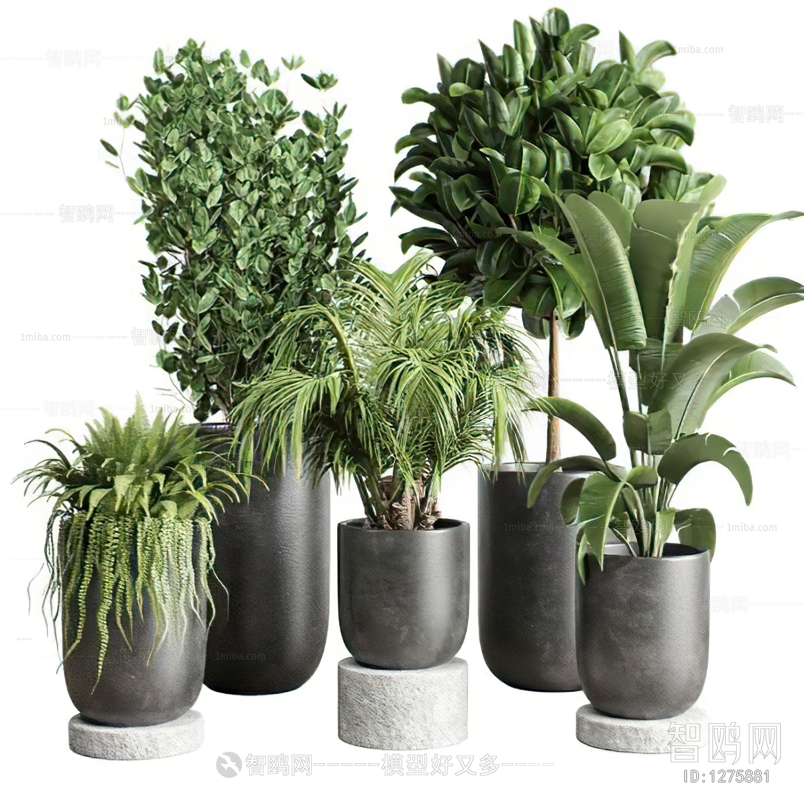 Modern Potted Green Plant