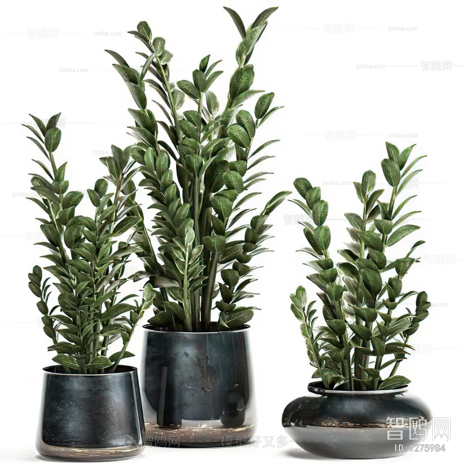 Modern Potted Green Plant