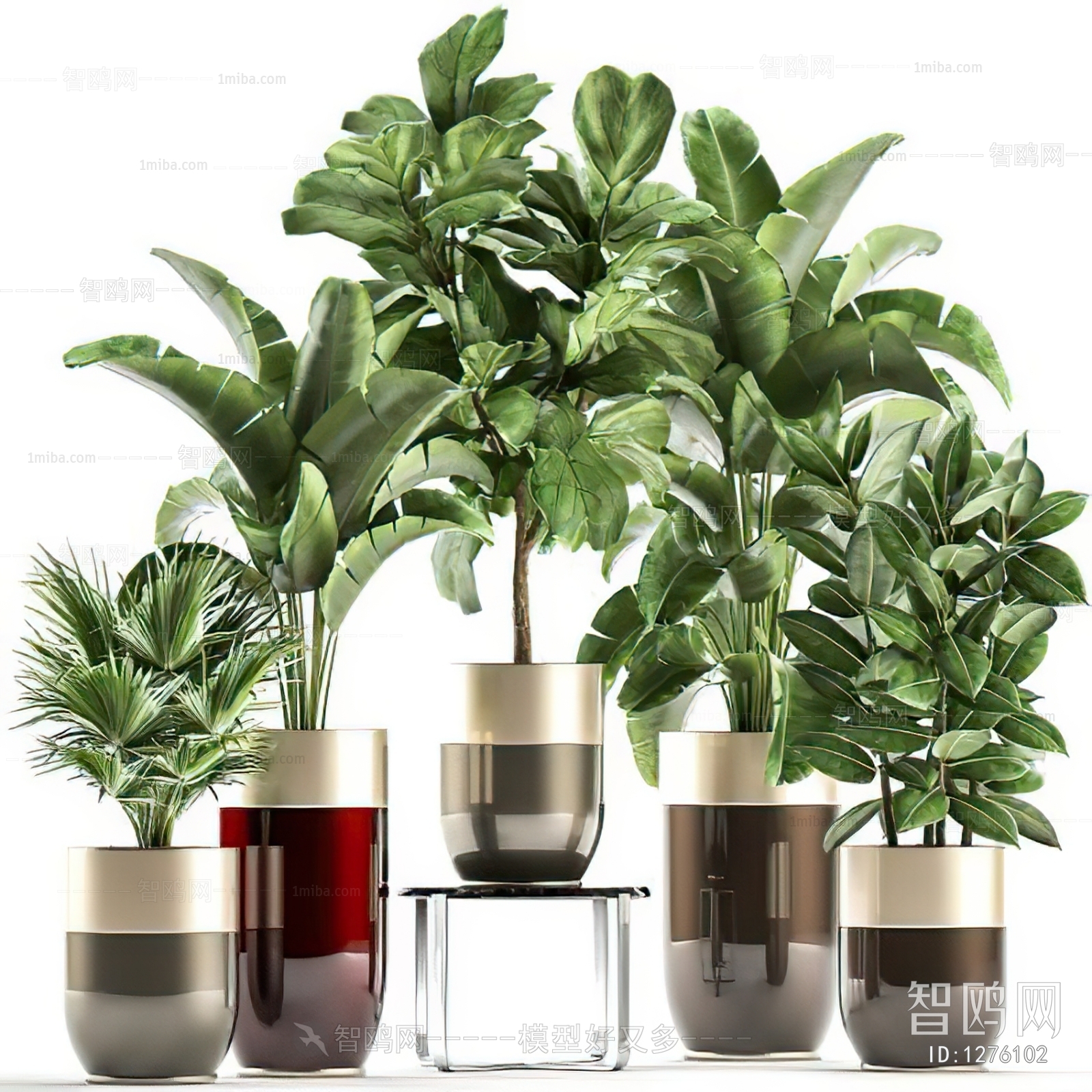 Modern Potted Green Plant