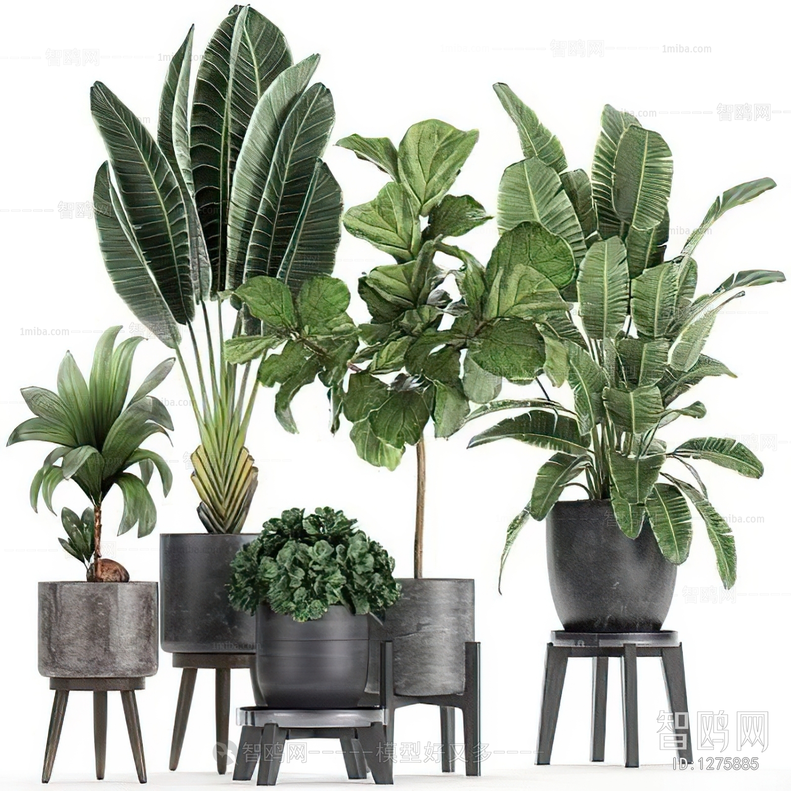 Modern Potted Green Plant