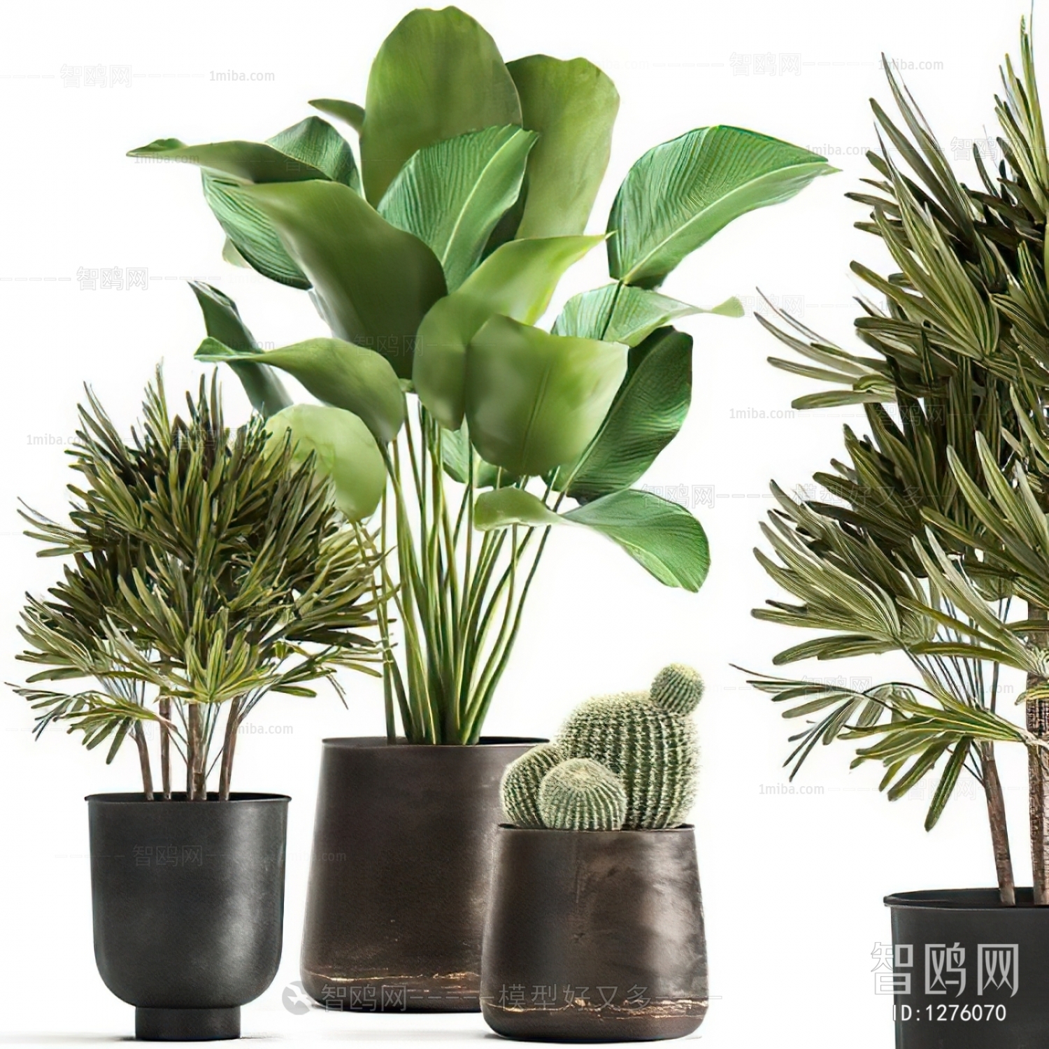 Modern Potted Green Plant