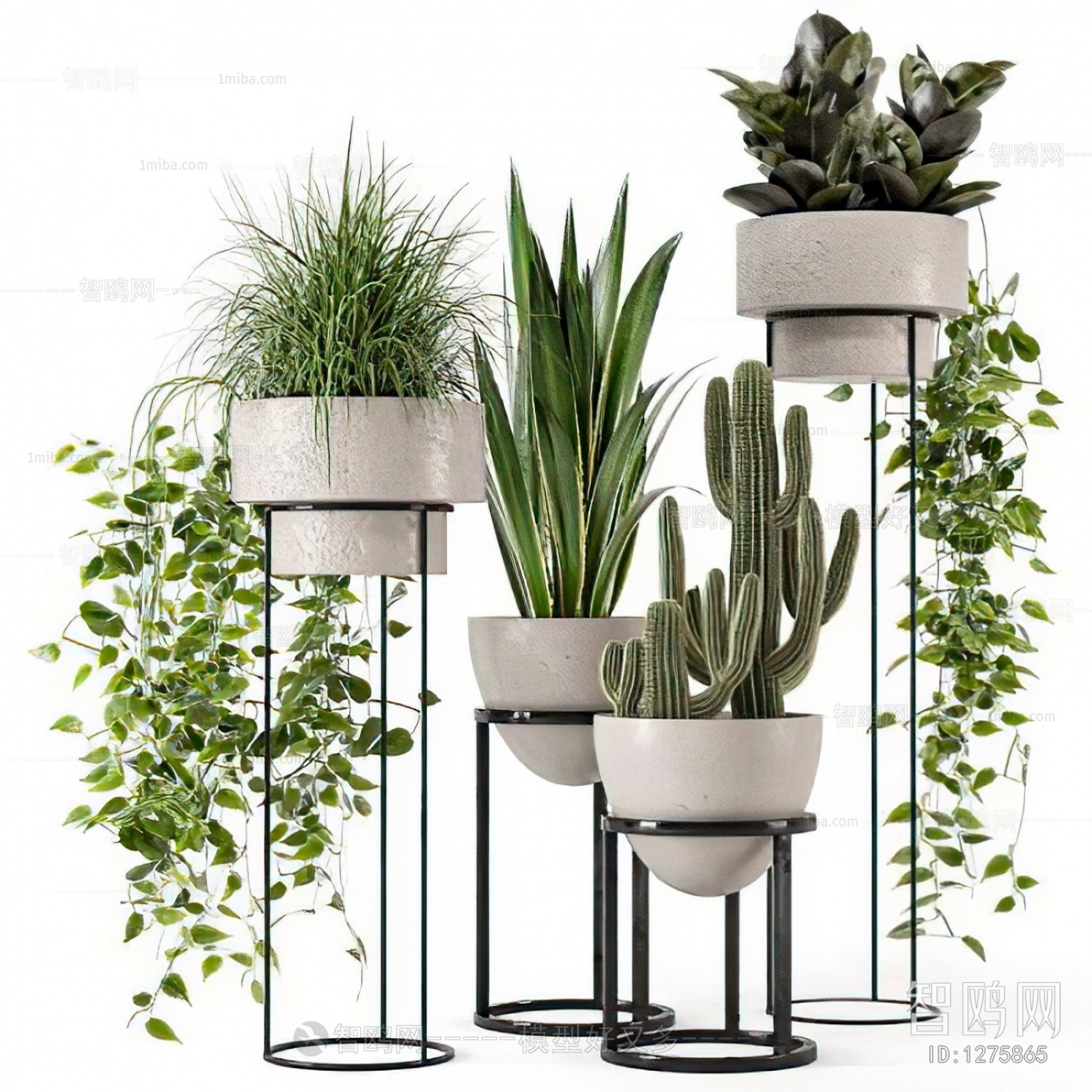 Modern Potted Green Plant