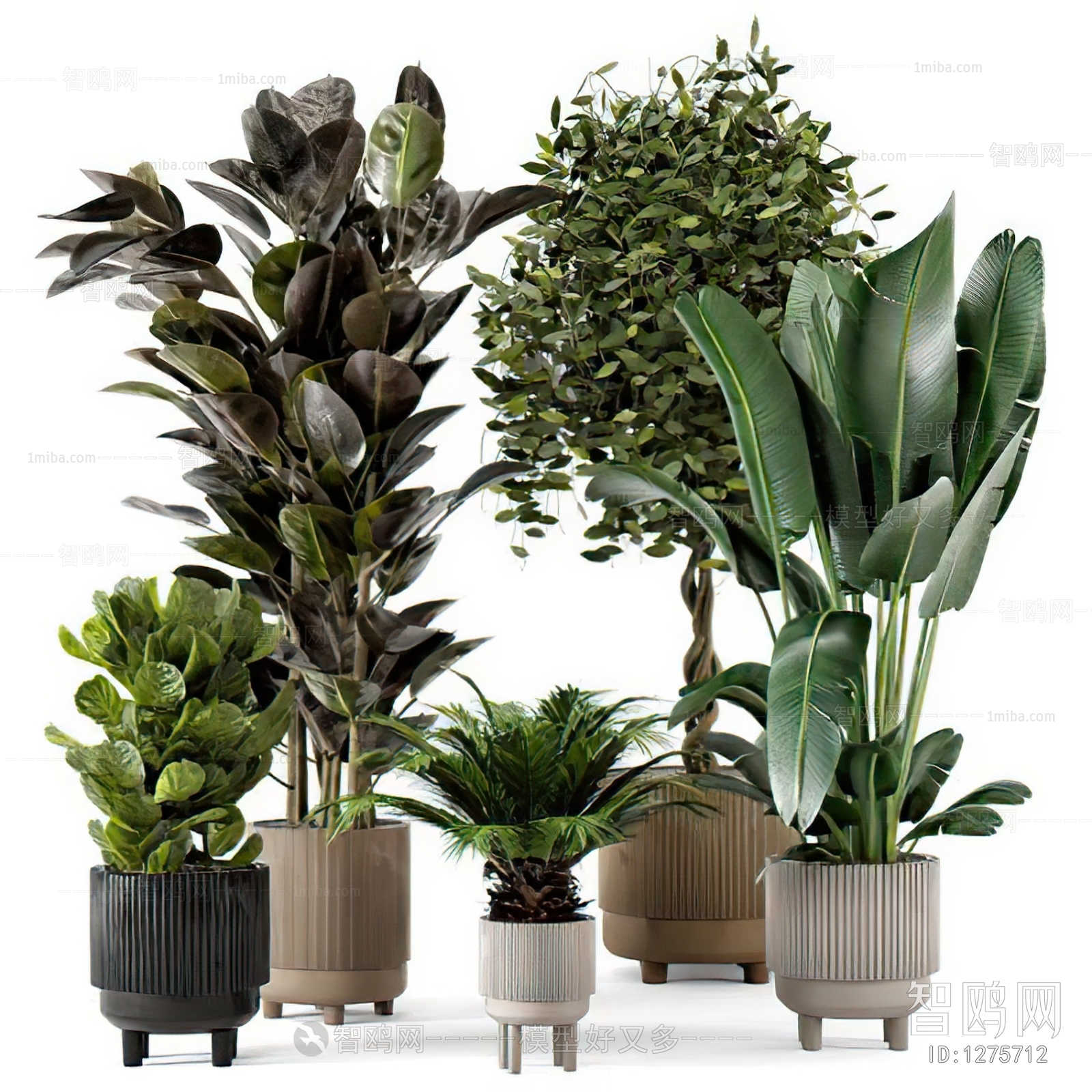 Modern Potted Green Plant