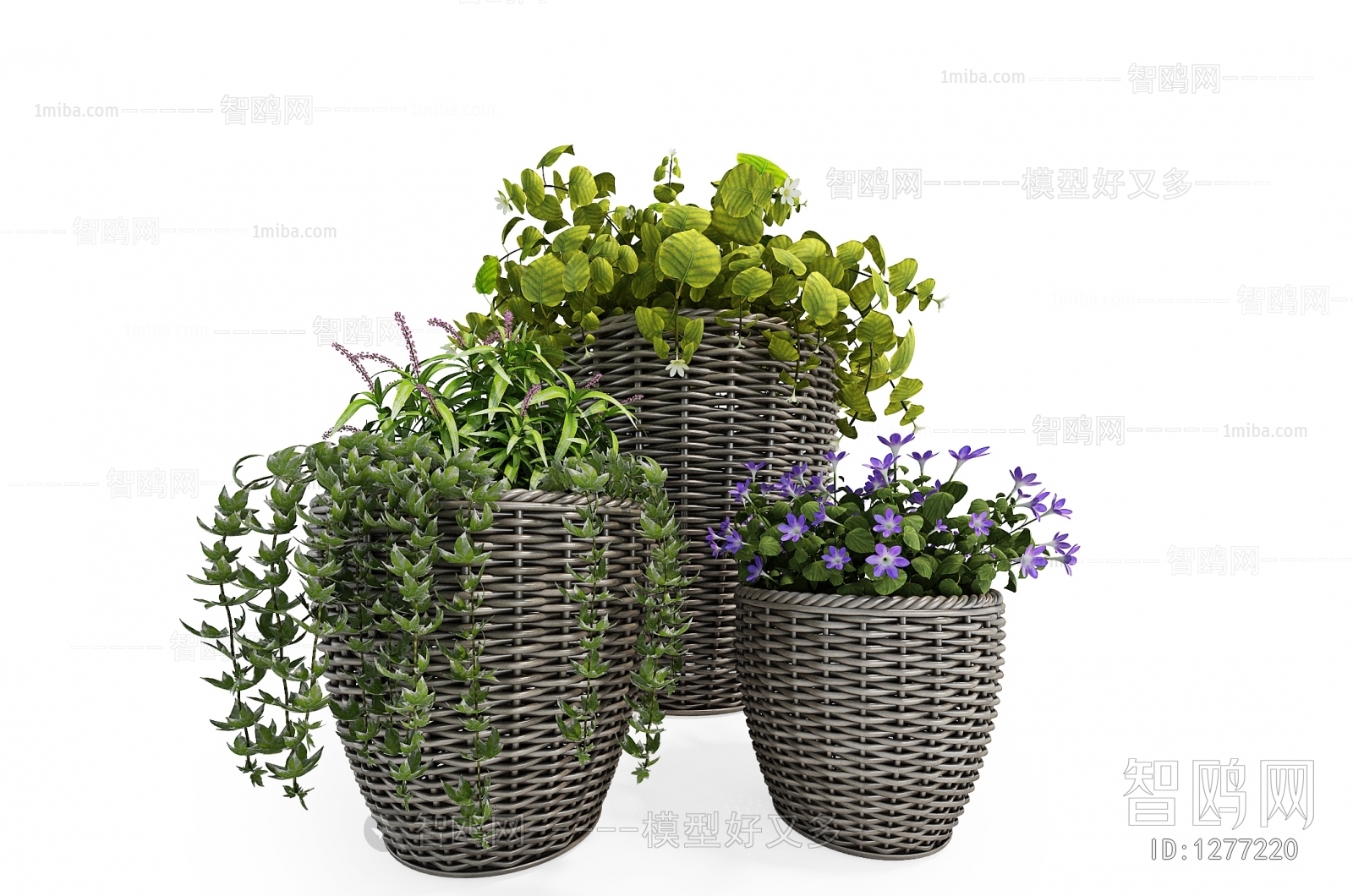 Modern Potted Green Plant