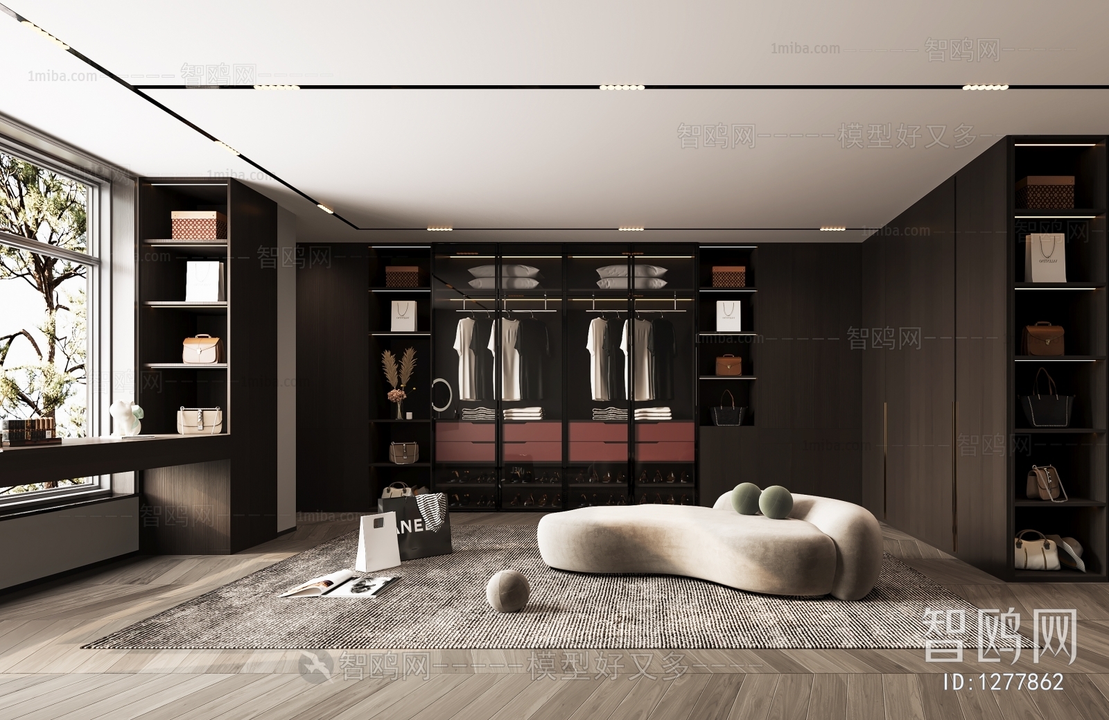 Modern Clothes Storage Area