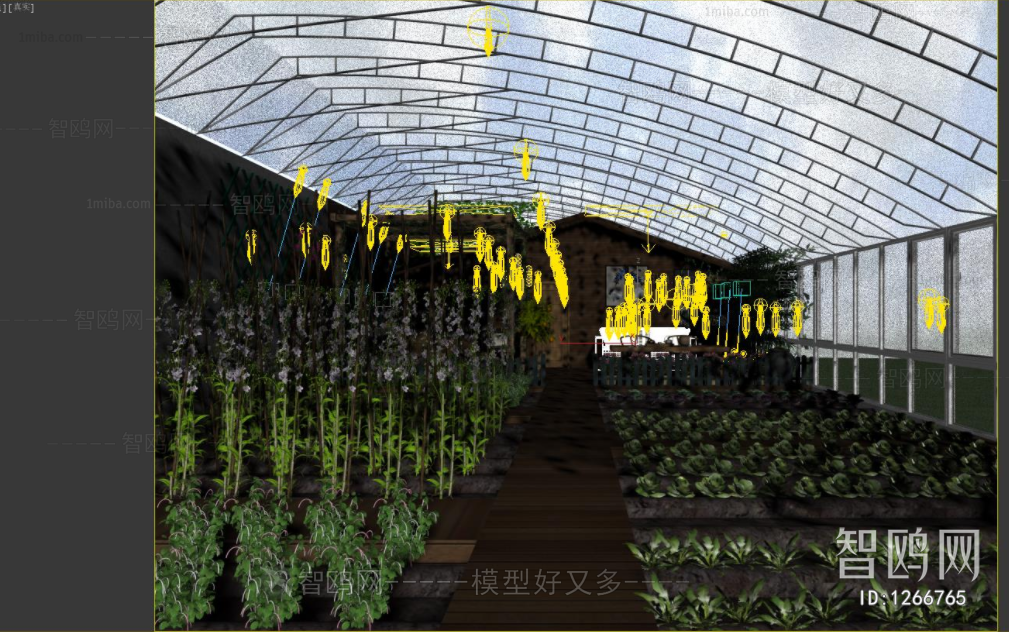 新中式温室大棚，蔬菜大棚菜地菜园子