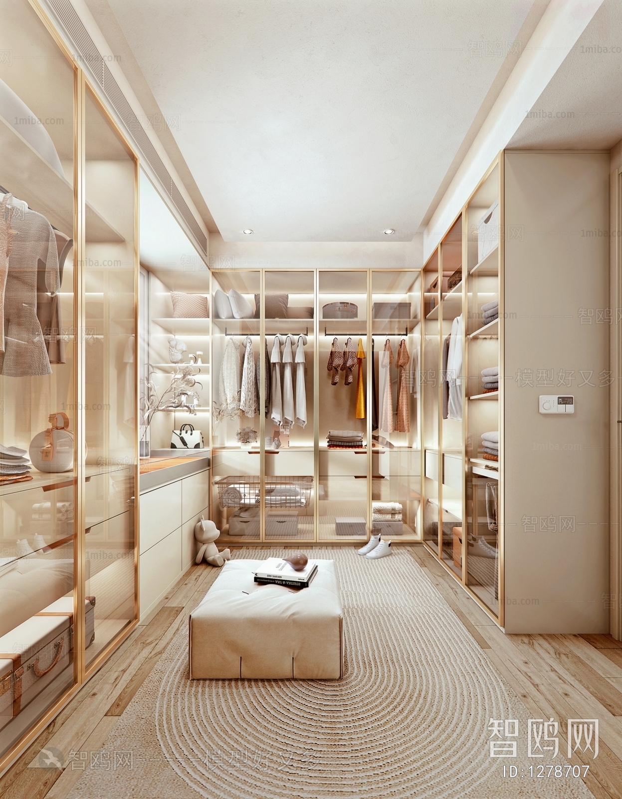 Modern Clothes Storage Area