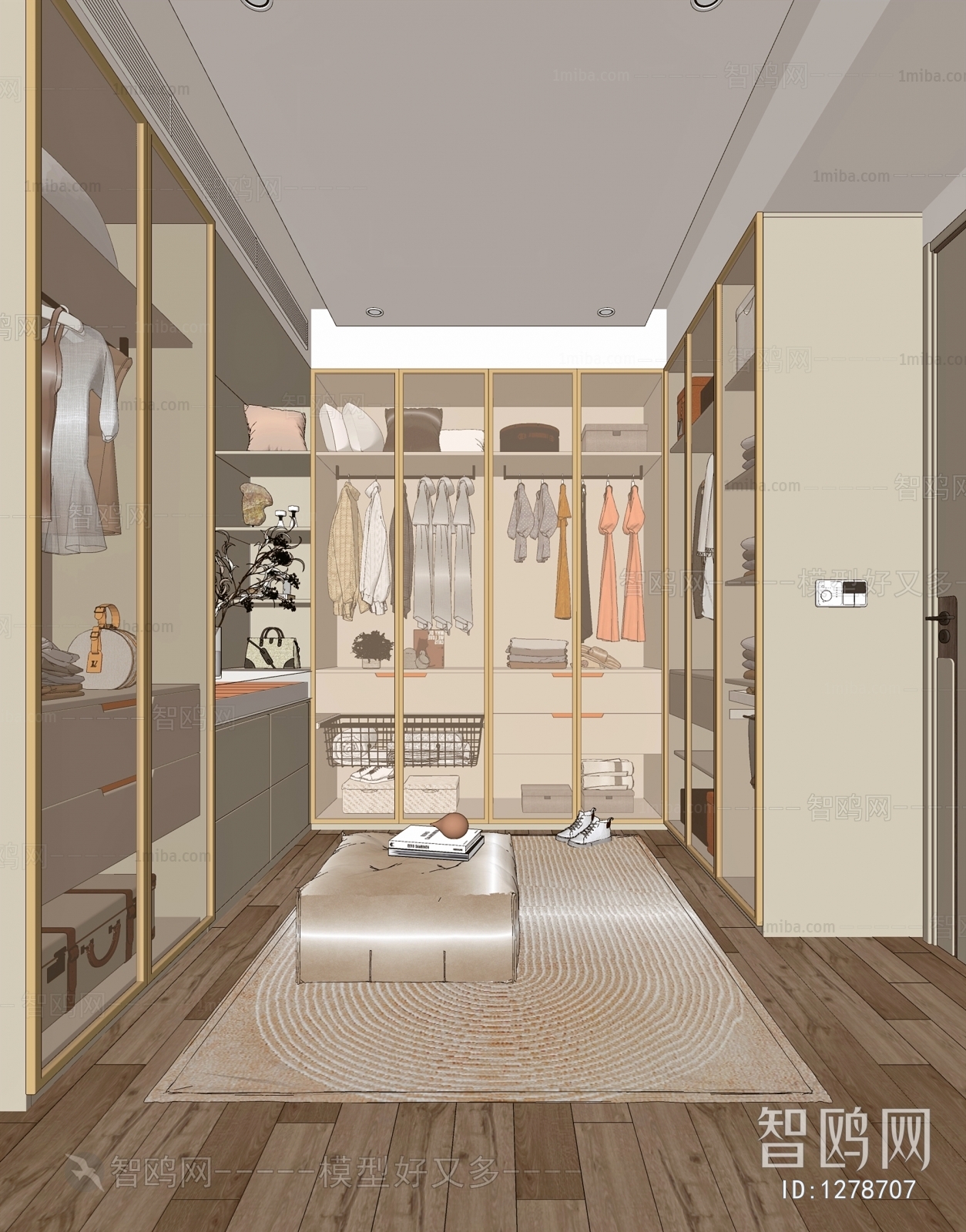 Modern Clothes Storage Area