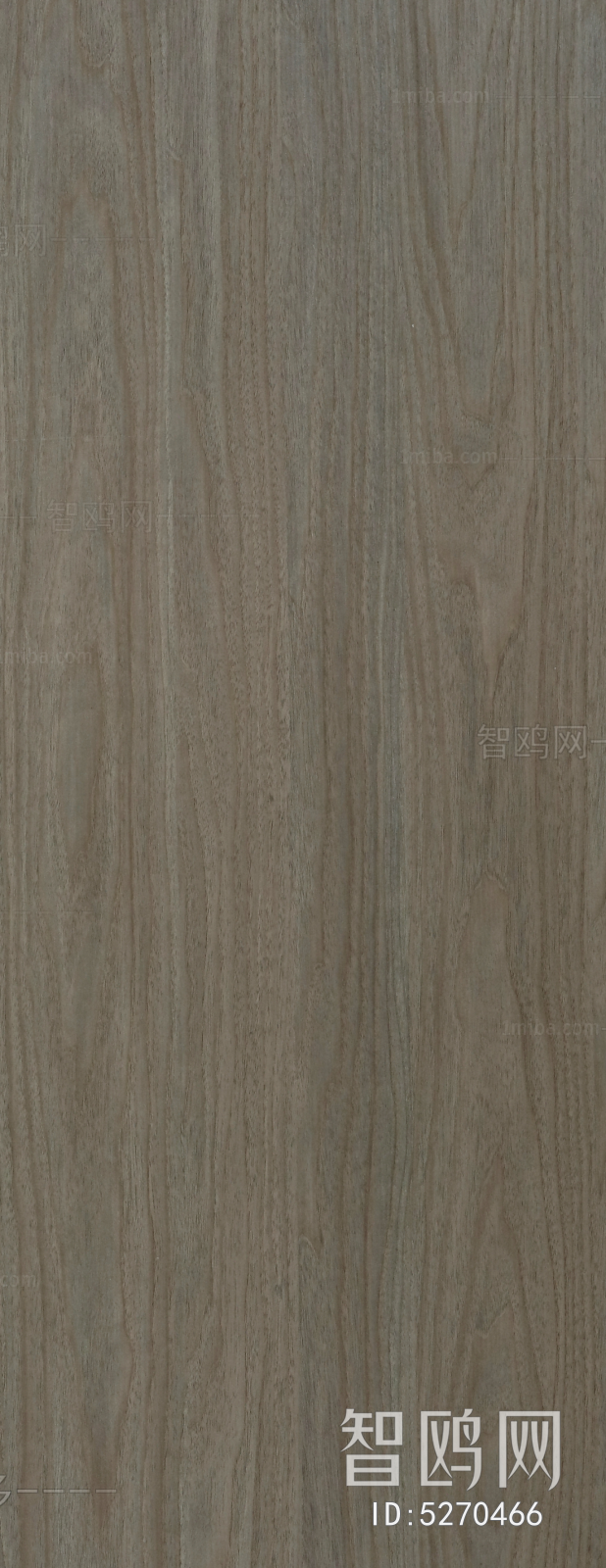 Wood Texture